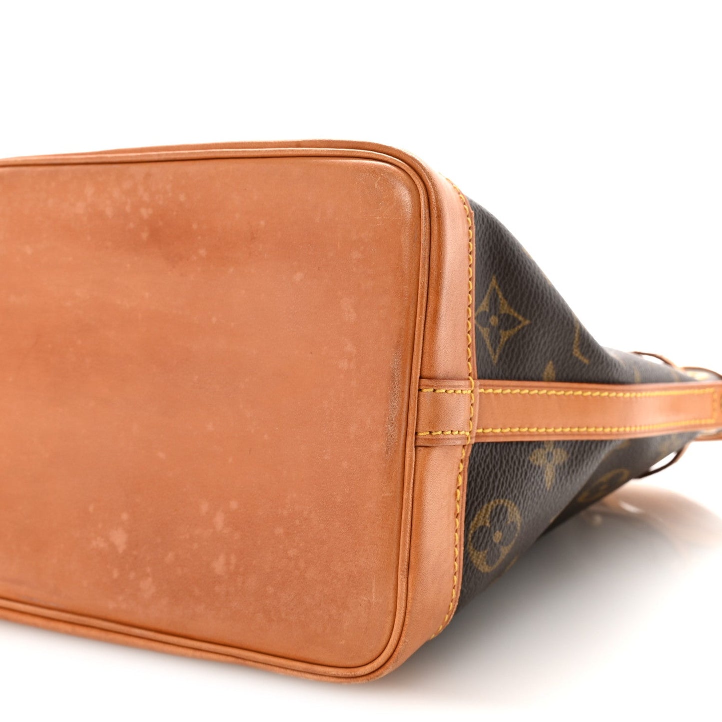 Monogram Mini Noe