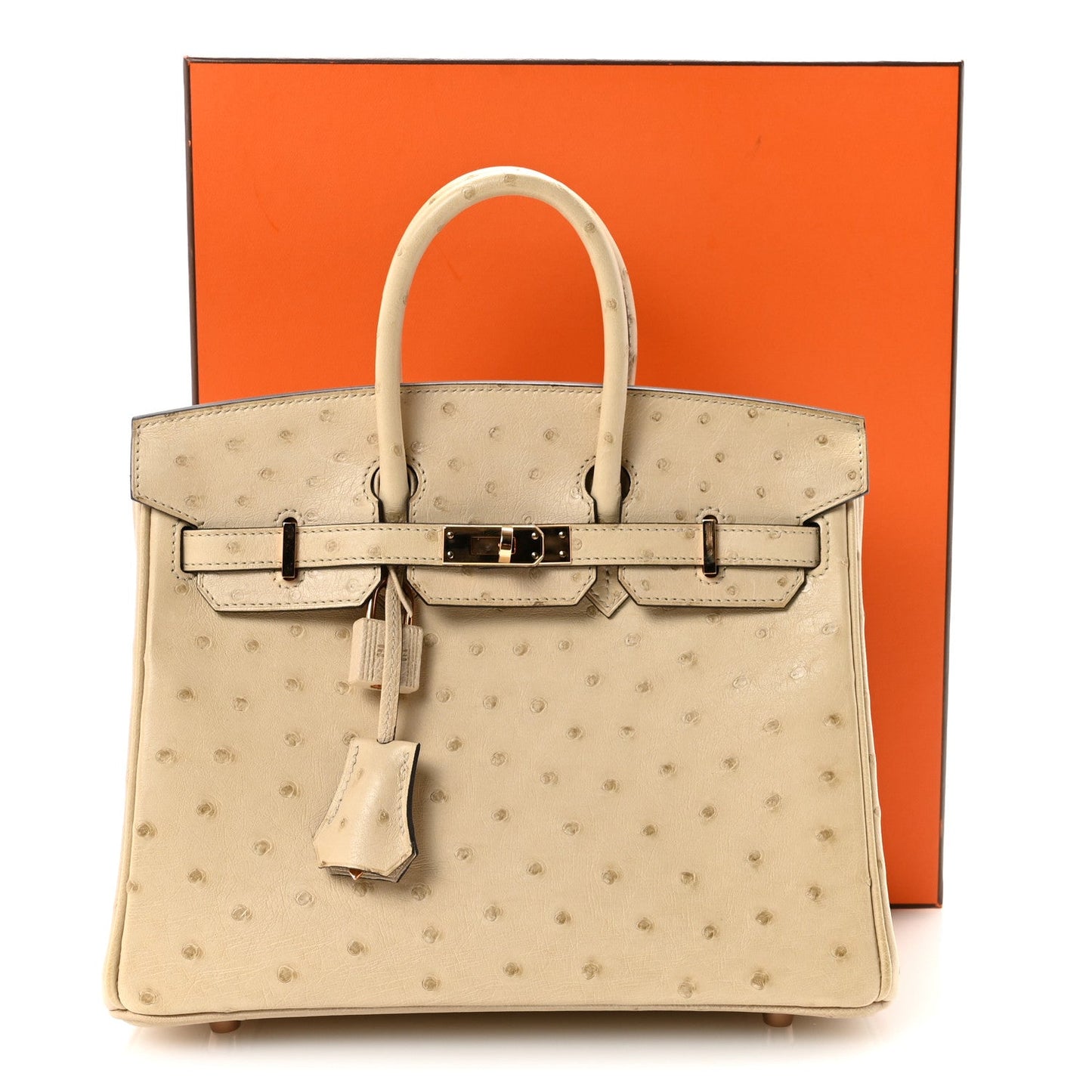 Ostrich Birkin 25 Parchemin