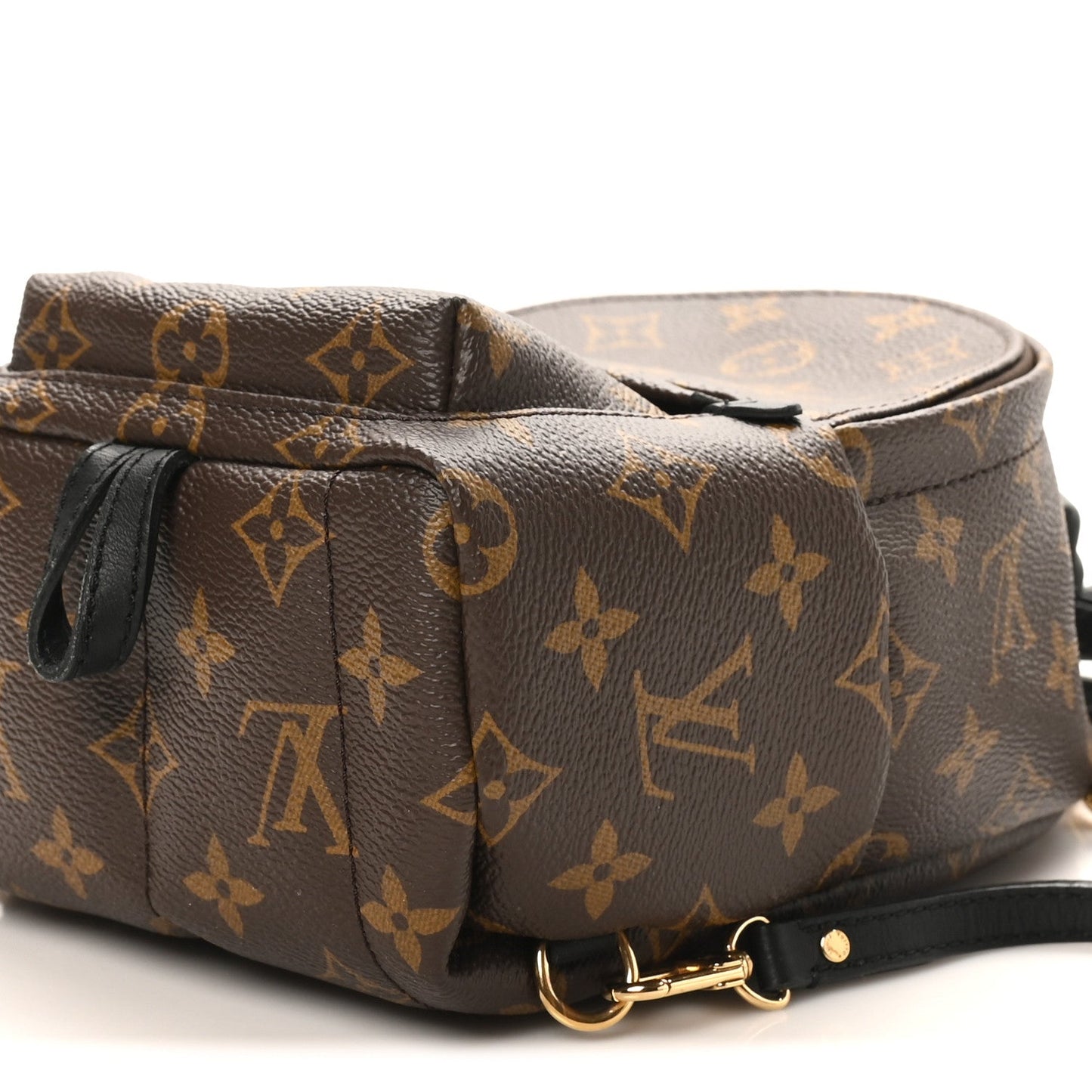 Monogram Palm Springs Backpack Mini