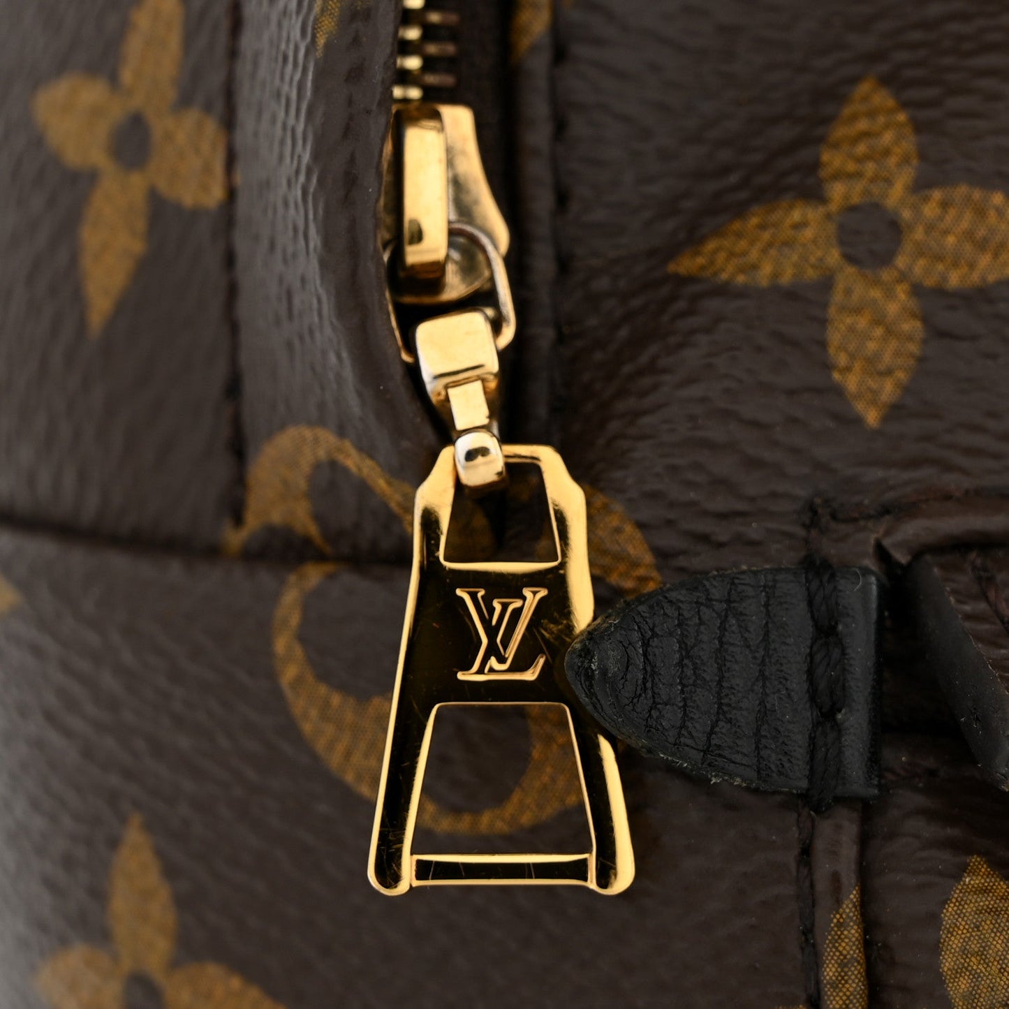 Monogram Palm Springs Backpack Mini