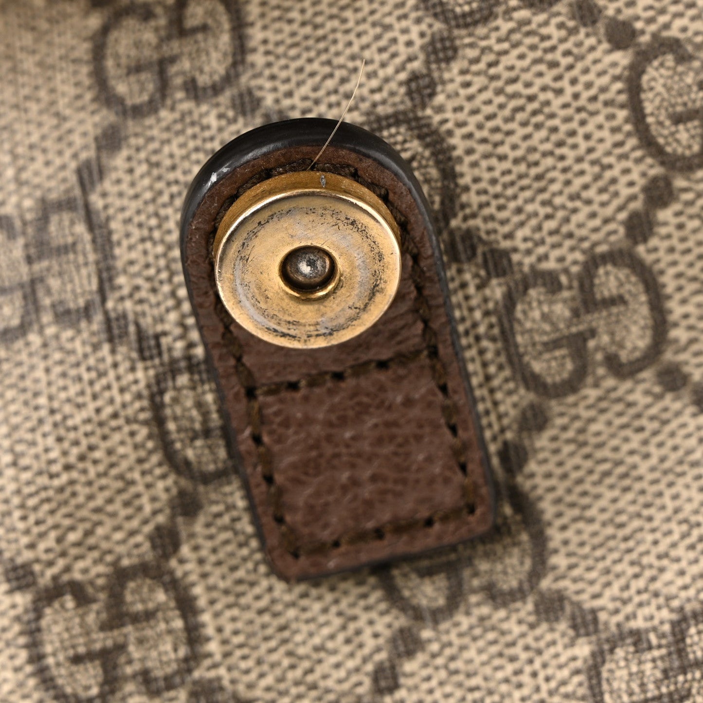 GG Supreme Monogram Medium Ophidia Double Buckle Backpack Brown