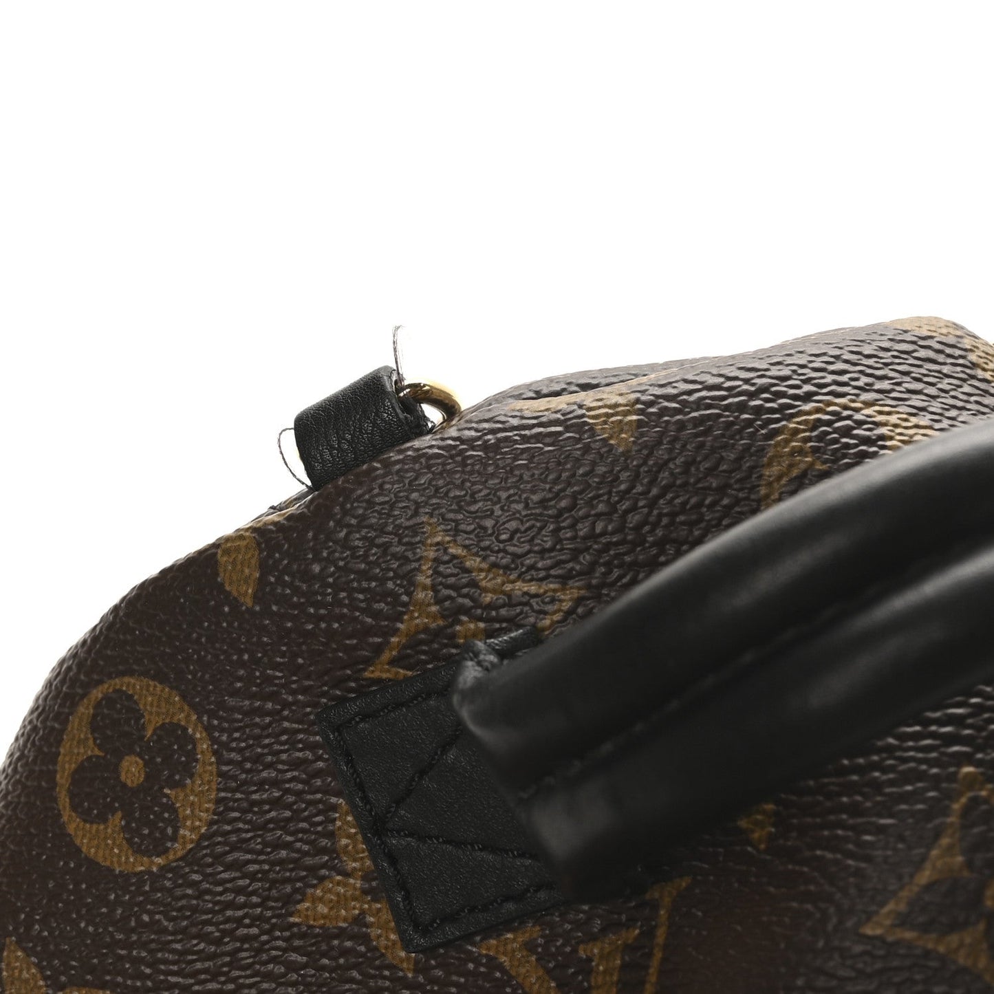 Monogram Palm Springs Backpack Mini