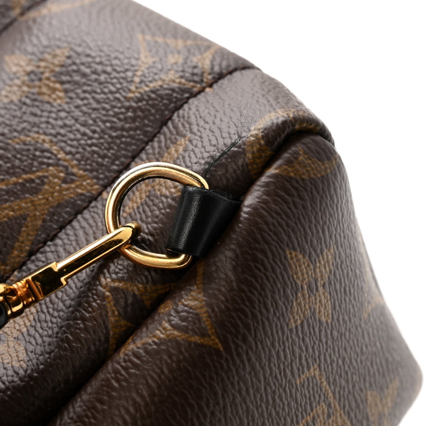 Monogram Palm Springs Backpack Mini