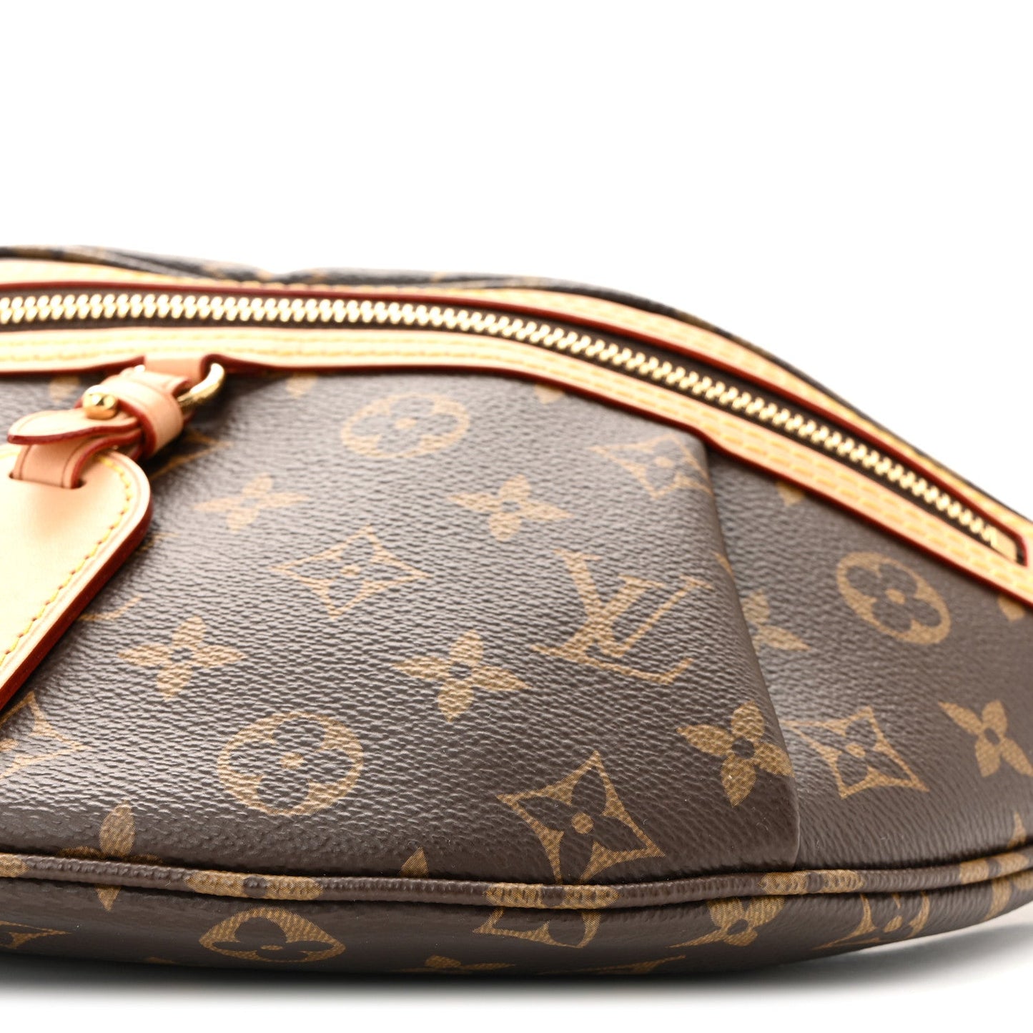 Monogram High Rise Bumbag