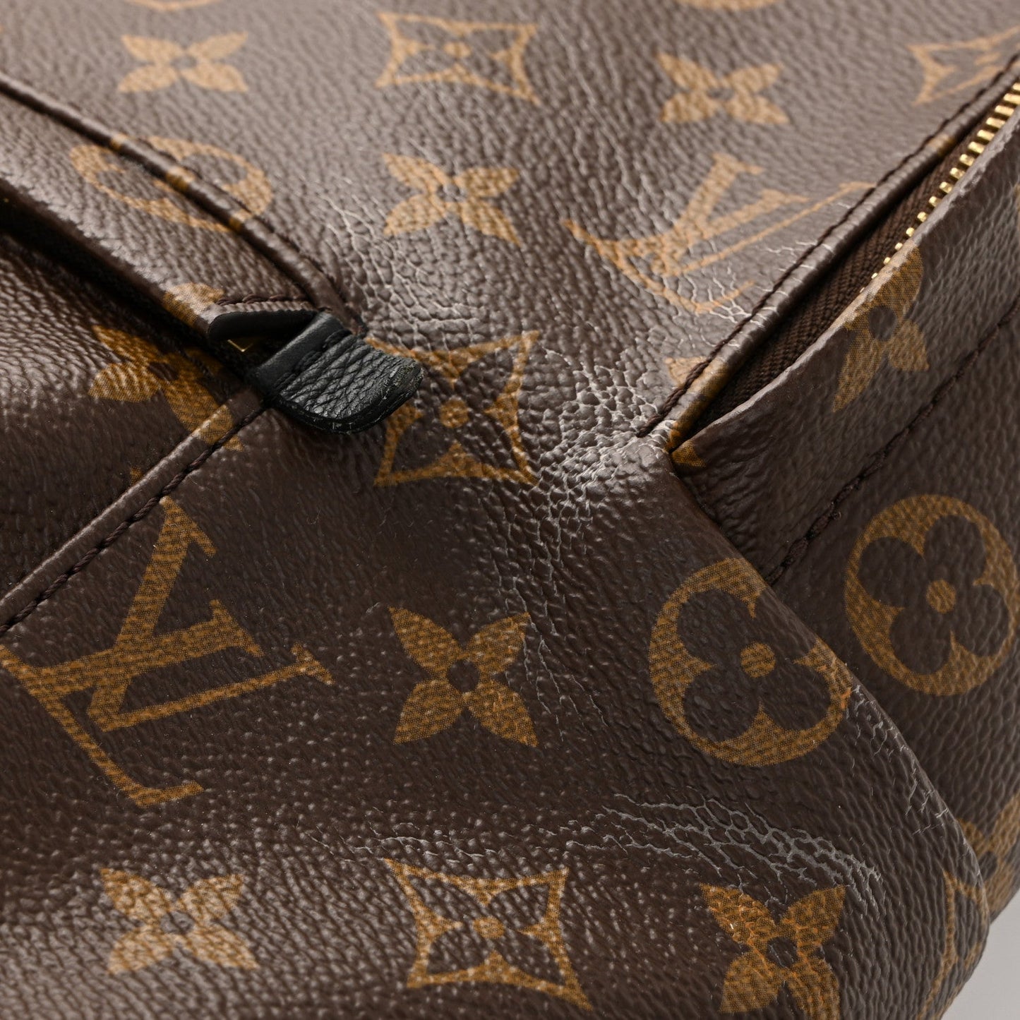 Monogram Palm Springs Backpack MM