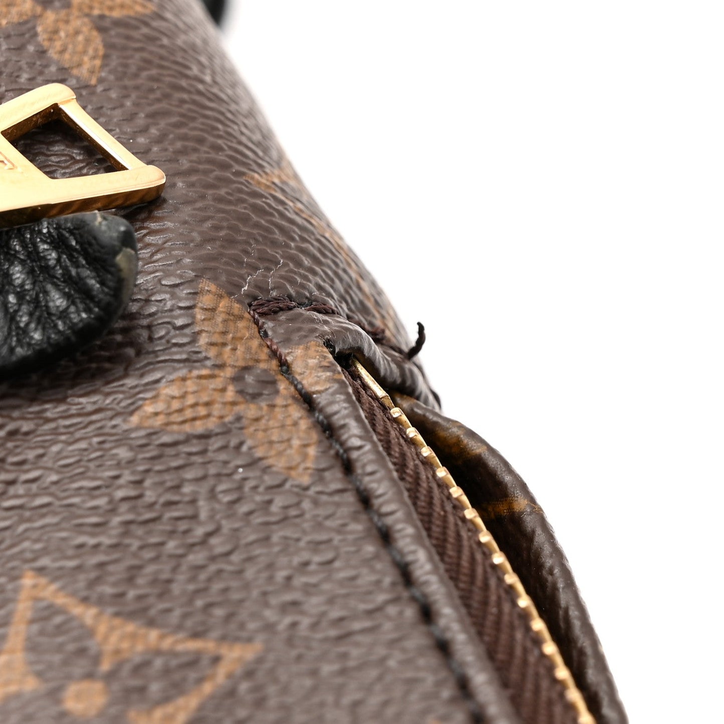 Monogram Palm Springs Backpack PM
