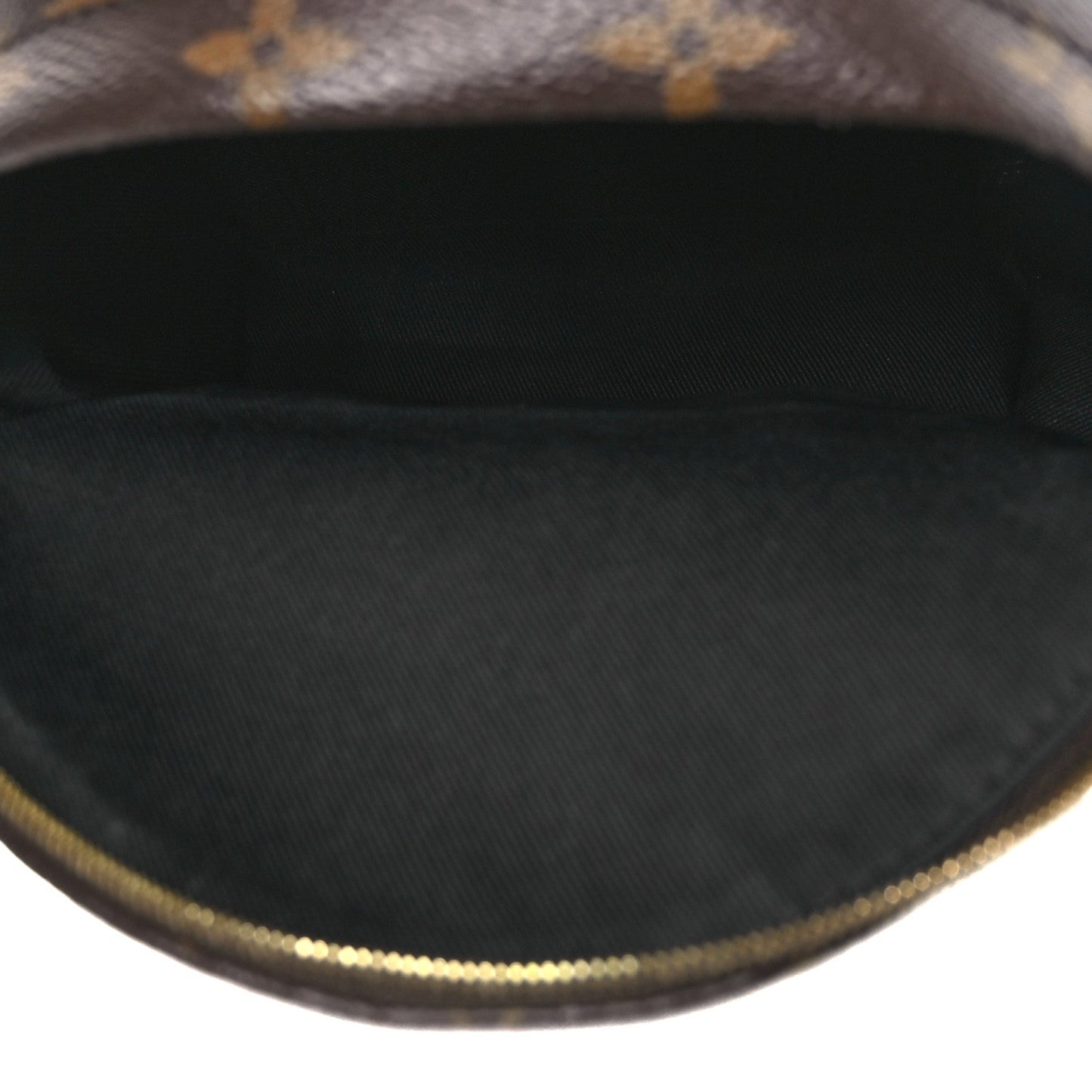 Monogram Palm Springs Backpack Mini