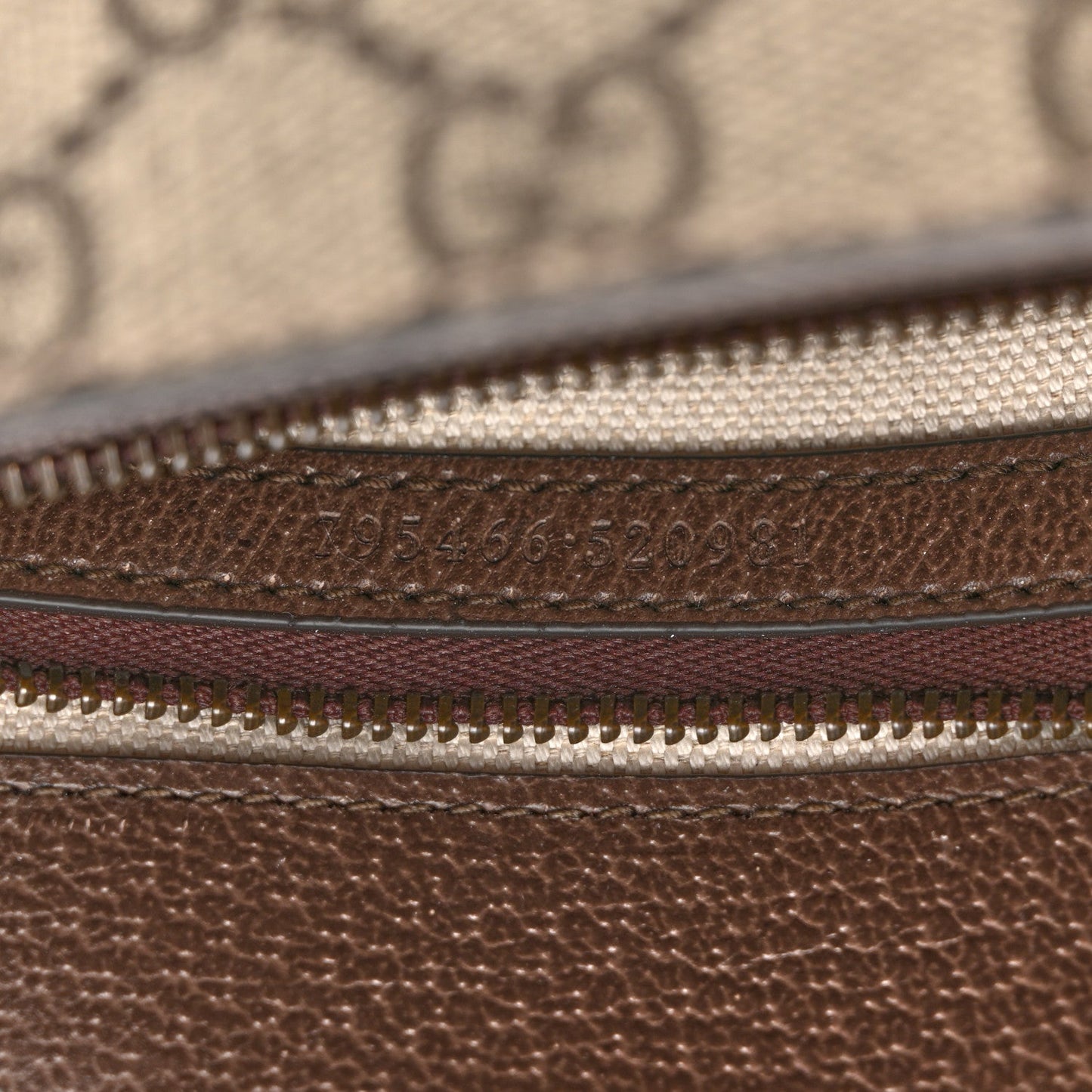 GG Supreme Monogram Web Mini Ophidia Flap Shoulder Bag Brown