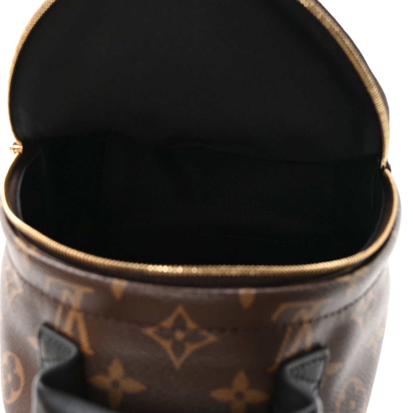 Monogram Palm Springs Backpack Mini