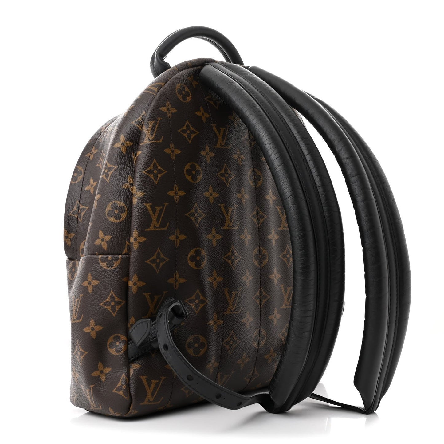Monogram Palm Springs Backpack MM