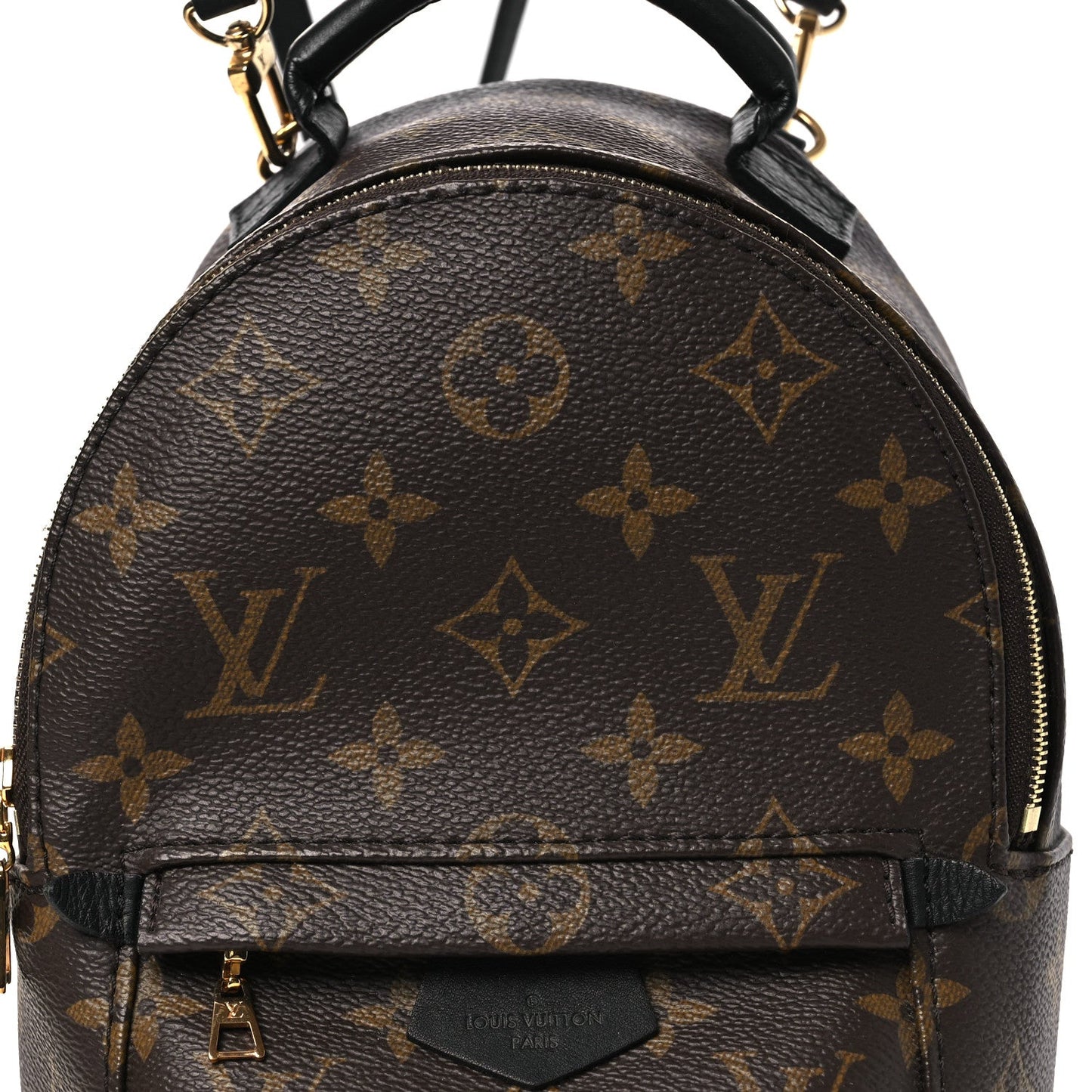 Monogram Palm Springs Backpack Mini