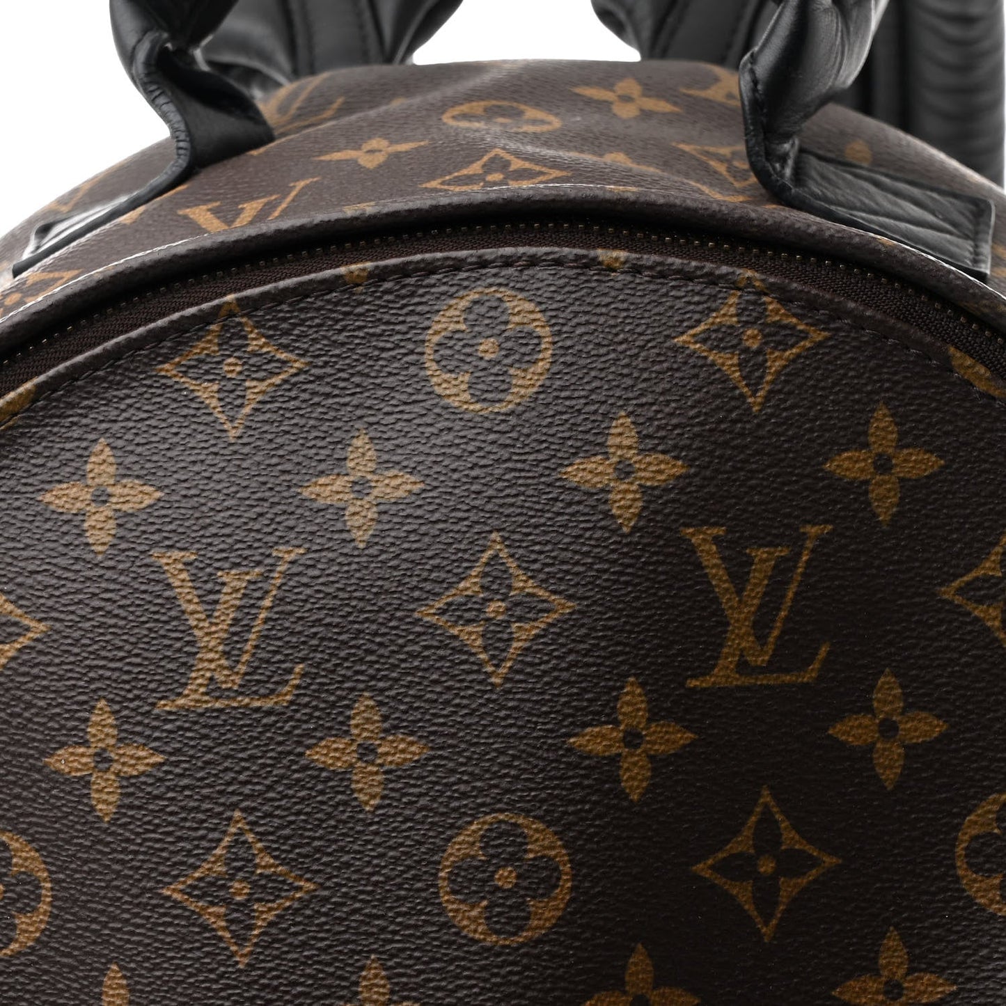 Monogram Palm Springs Backpack MM