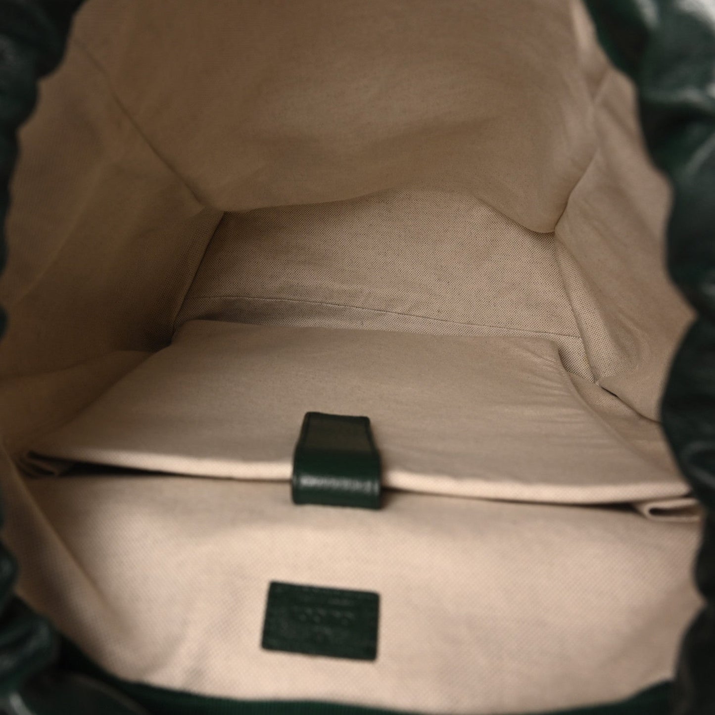 Grained Calfskin Medium Ophidia Double Buckle Backpack Green