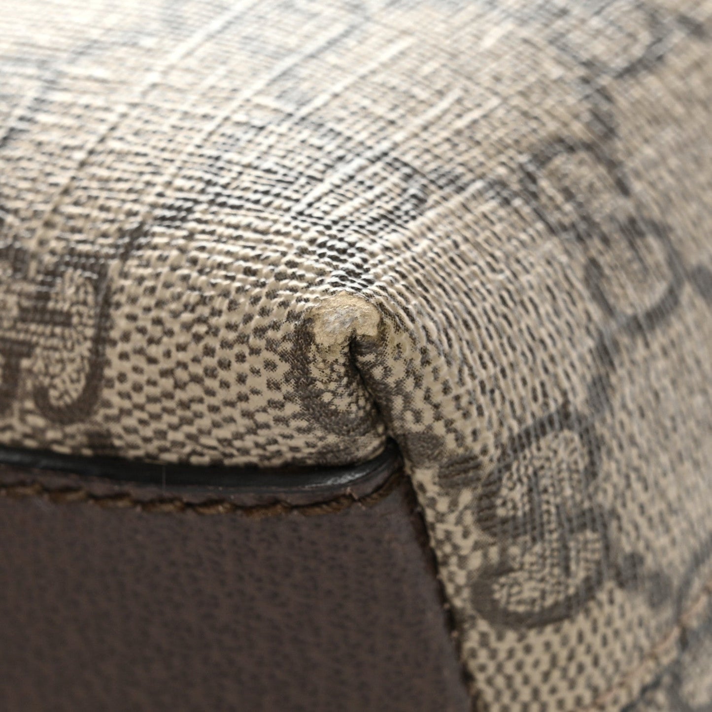GG Supreme Monogram Textured Dollar Calfskin Web Small Ophidia Dome Shoulder Bag Beige Ebony New Acero