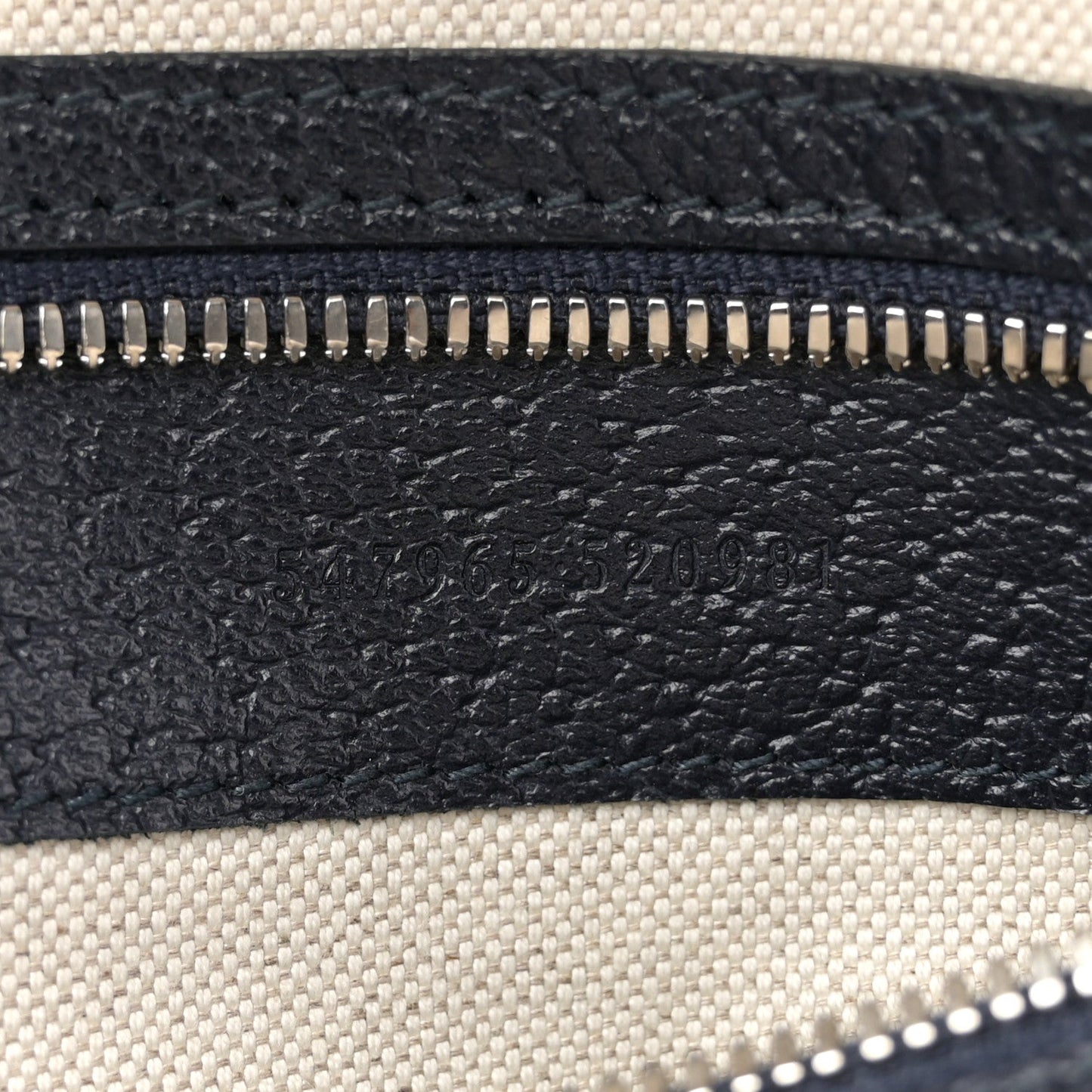 GG Supreme Monogram Textured Dollar Calfskin Web Small Ophidia Day Backpack Beige Blue Black