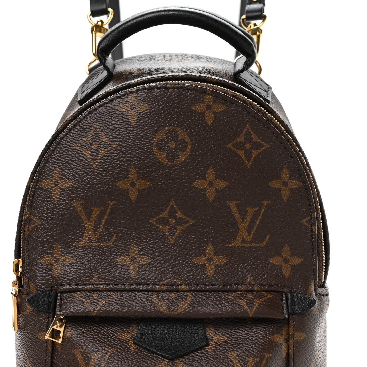 Monogram Palm Springs Backpack Mini