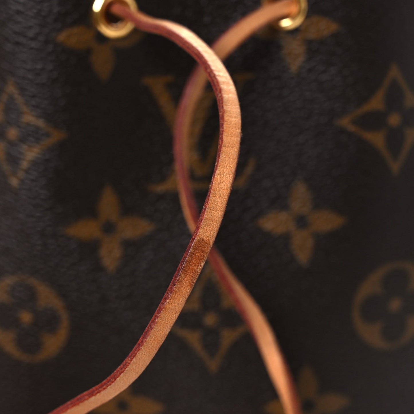 Monogram Nano Noe