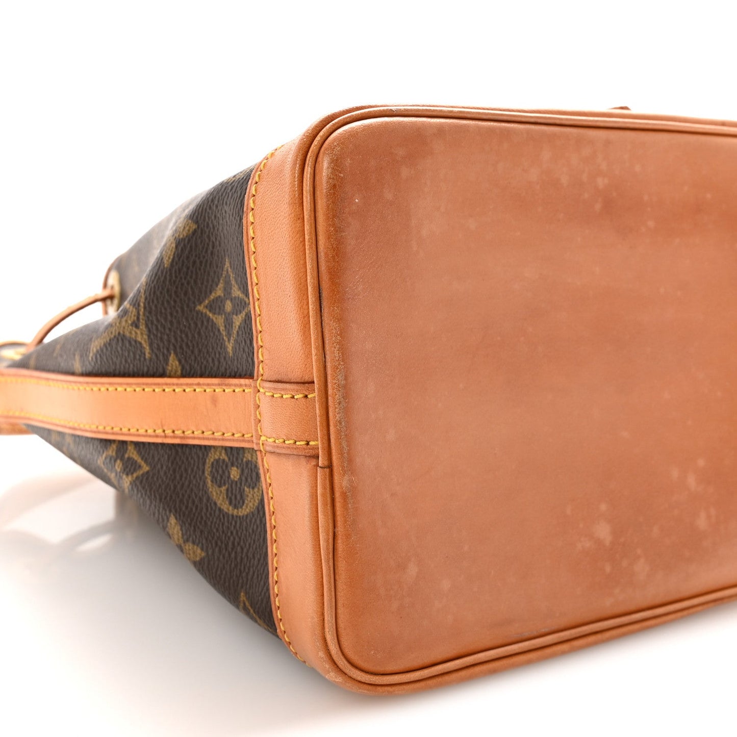 Monogram Mini Noe