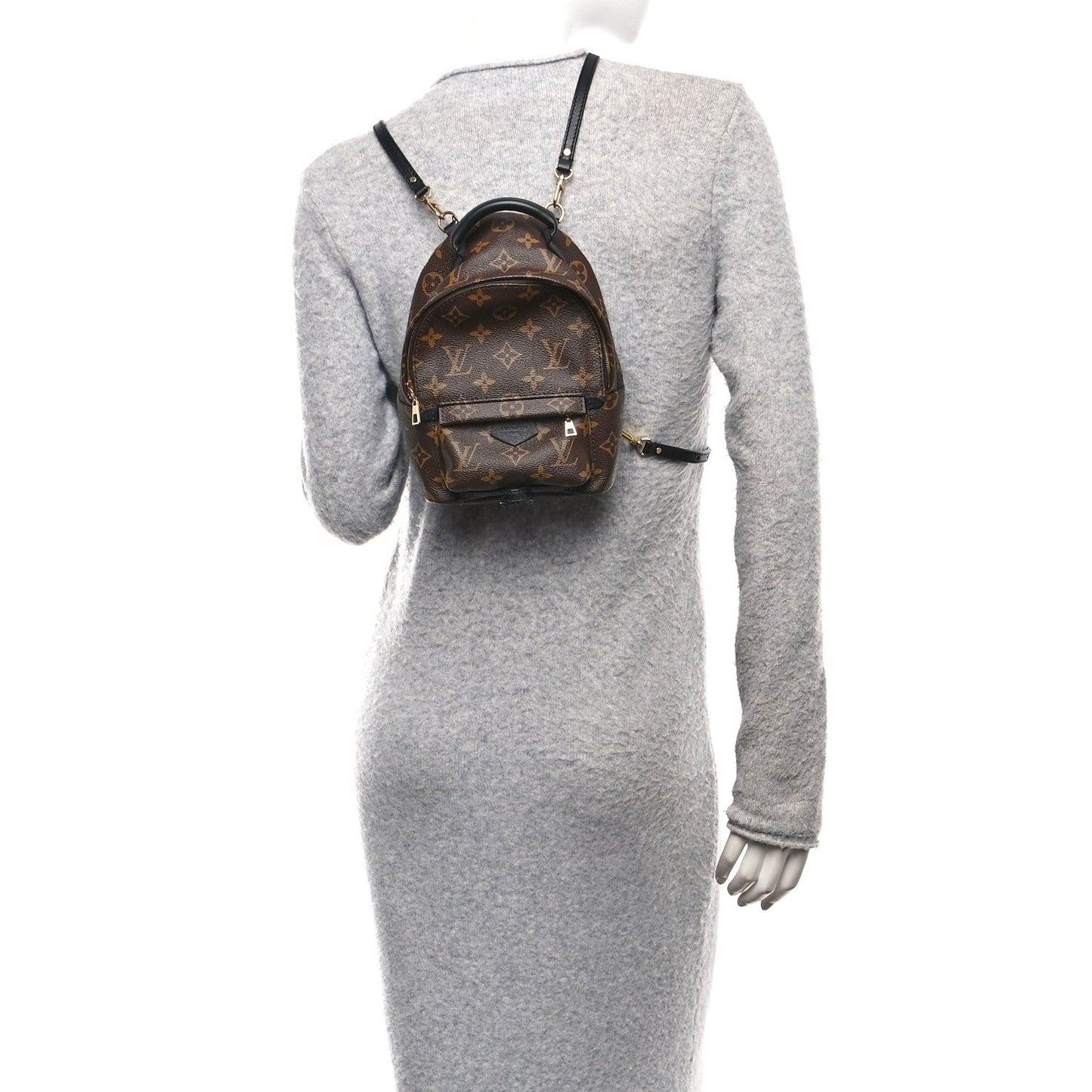 Monogram Palm Springs Backpack Mini