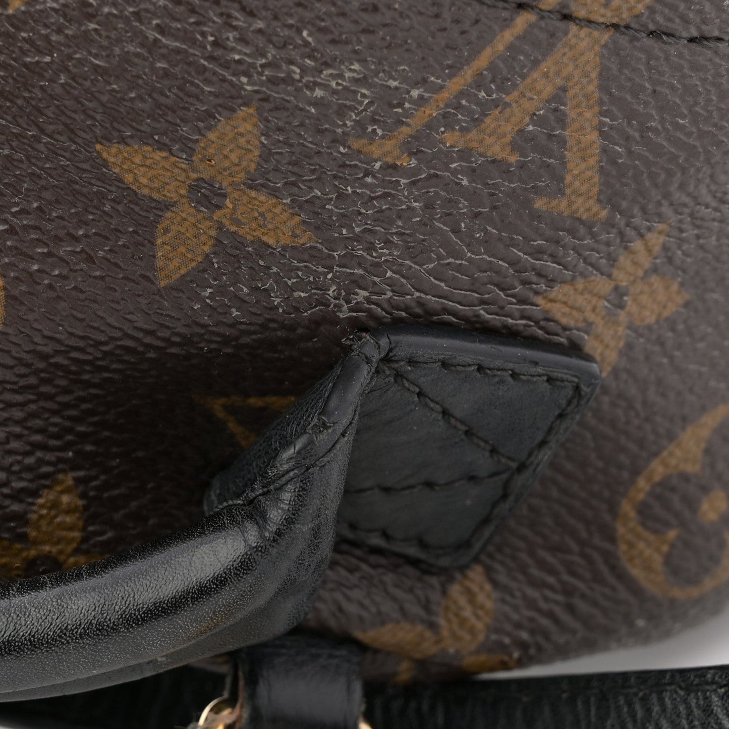 Monogram Palm Springs Backpack Mini
