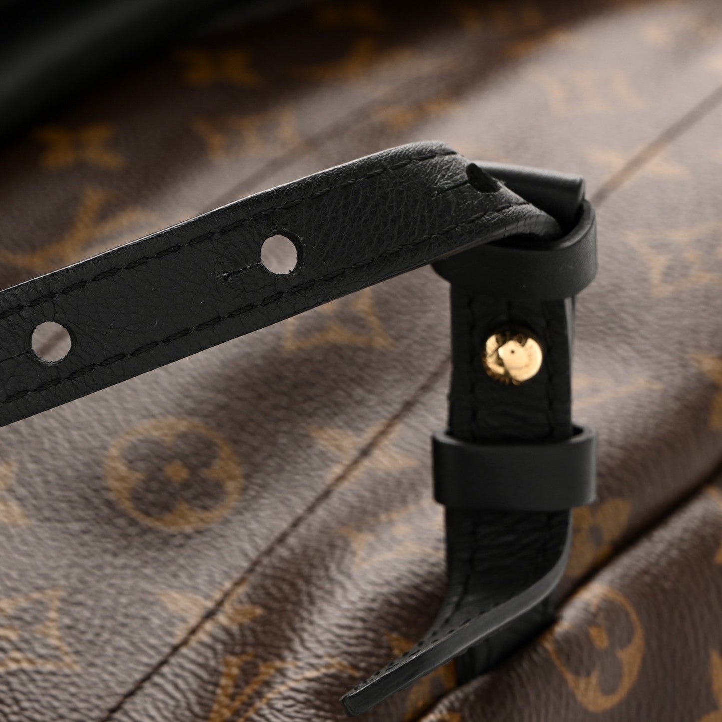 Monogram Palm Springs Backpack MM
