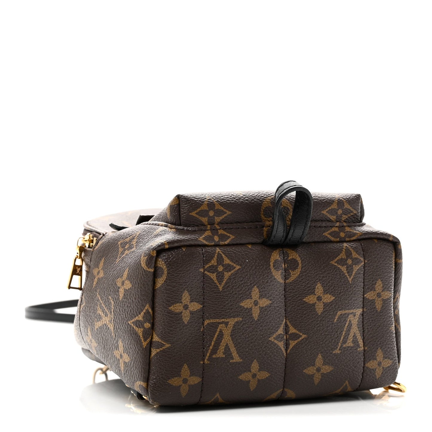 Monogram Palm Springs Backpack Mini