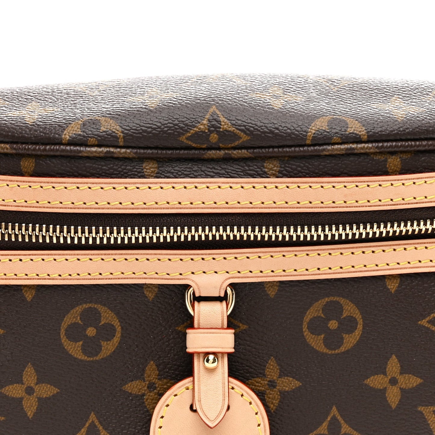 Monogram High Rise Bumbag