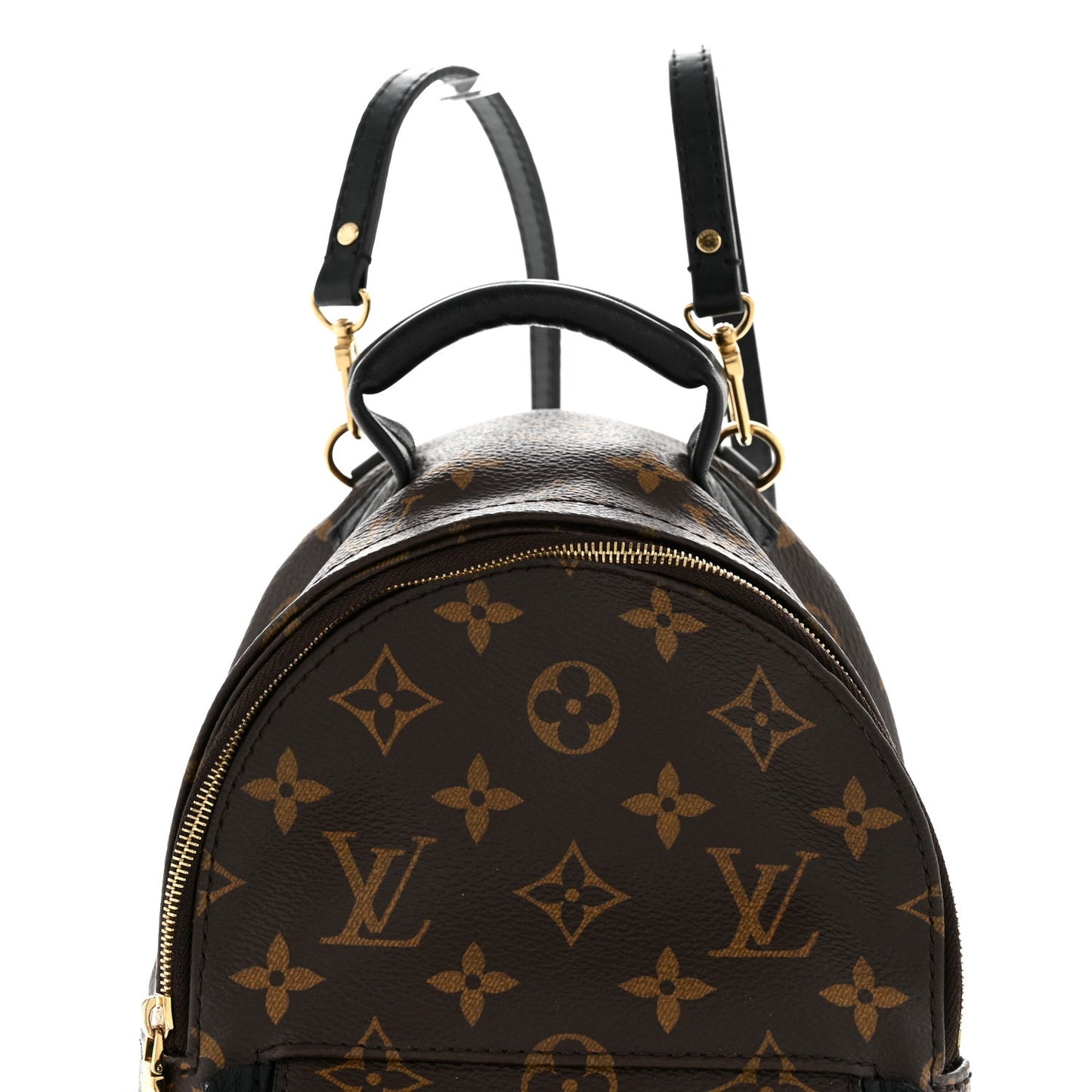 Monogram Palm Springs Backpack Mini