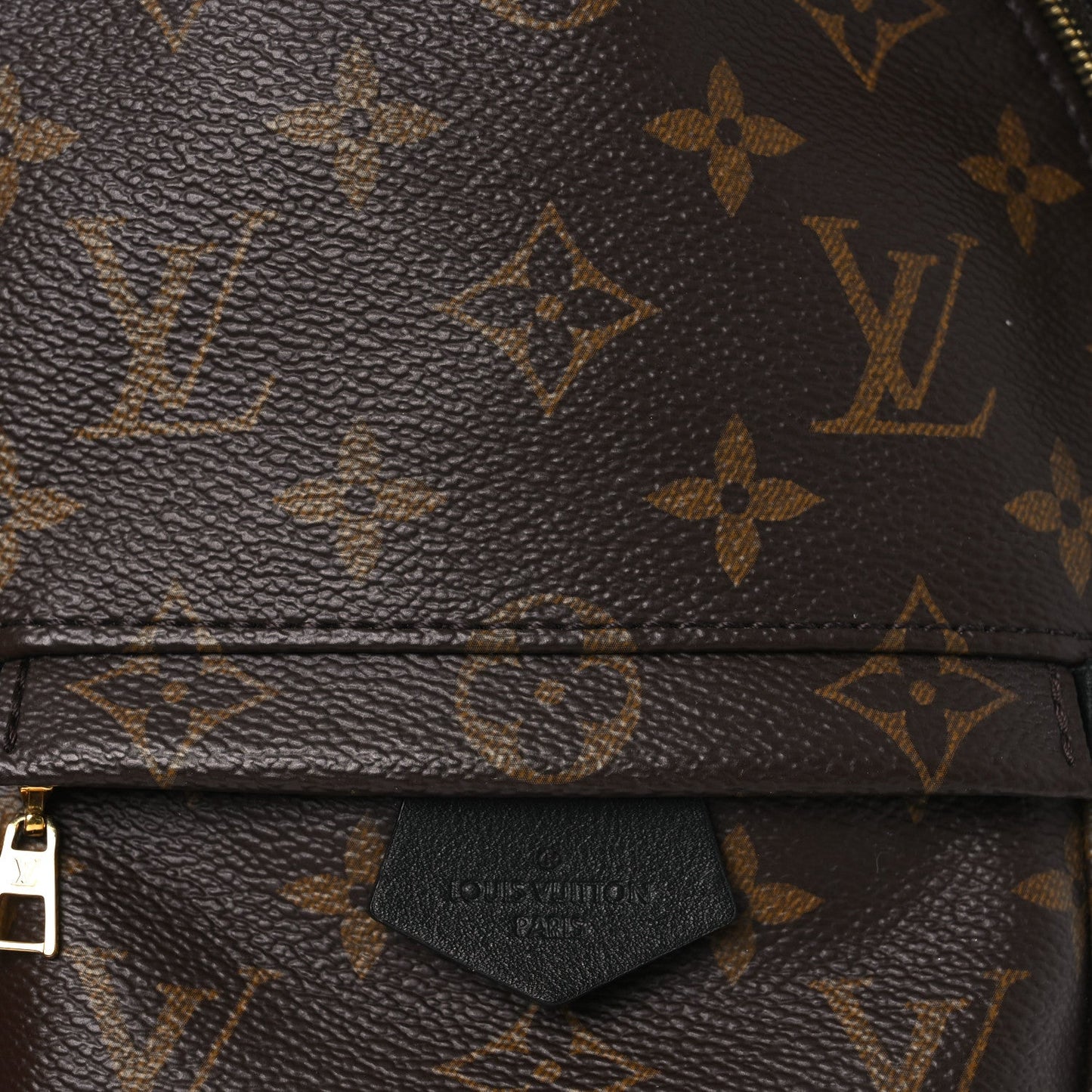 Monogram Palm Springs Backpack Mini