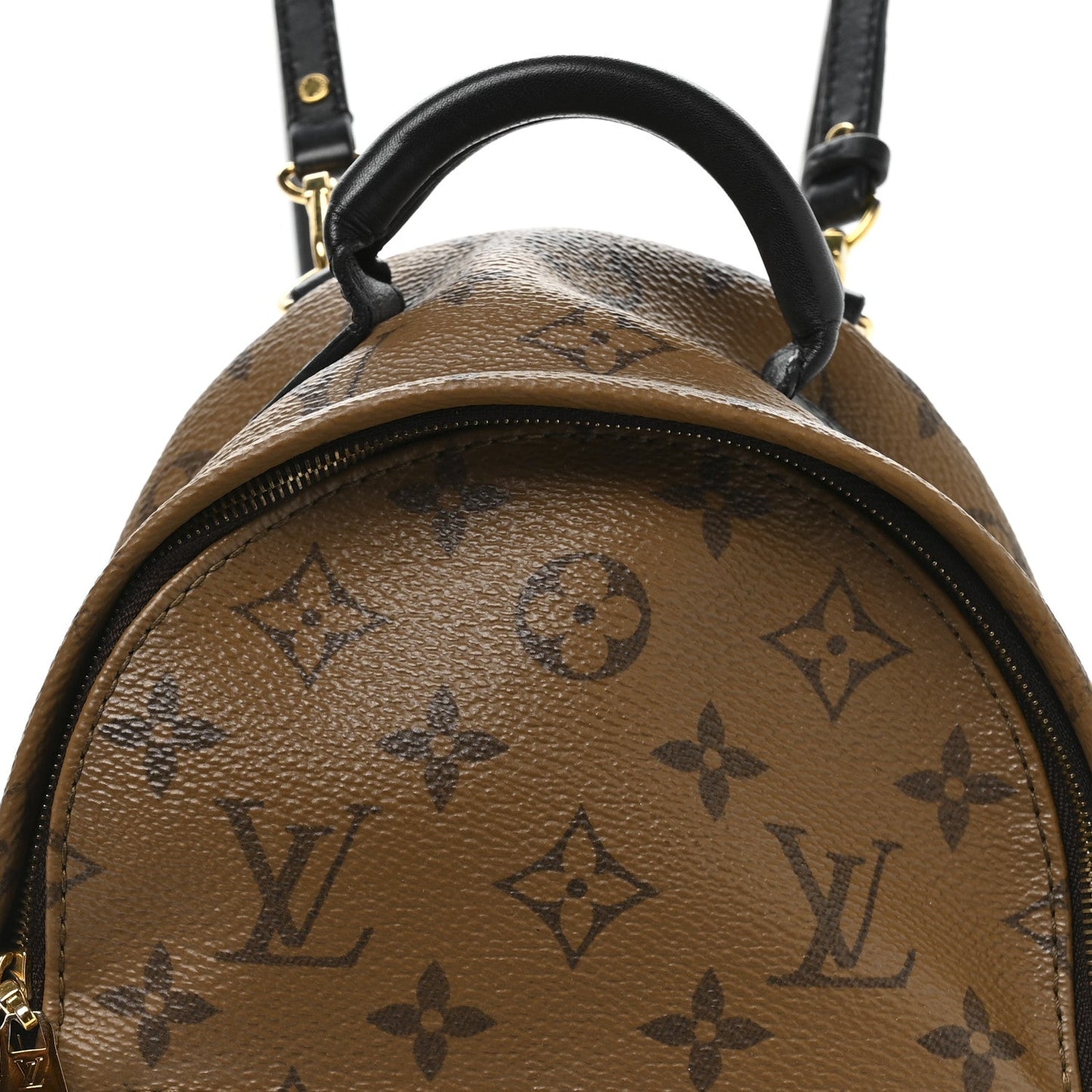 Reverse Monogram Palm Springs Backpack Mini