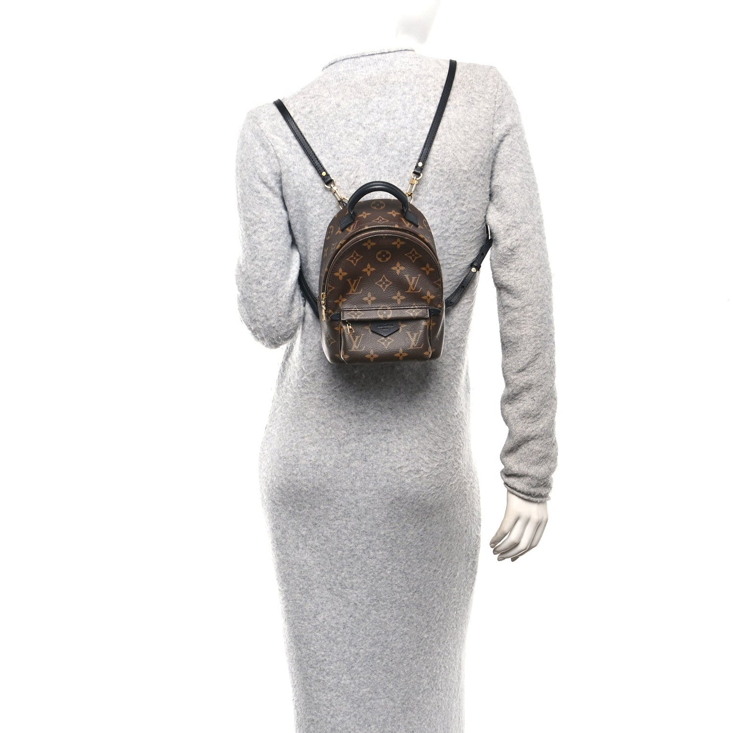 Monogram Palm Springs Backpack Mini