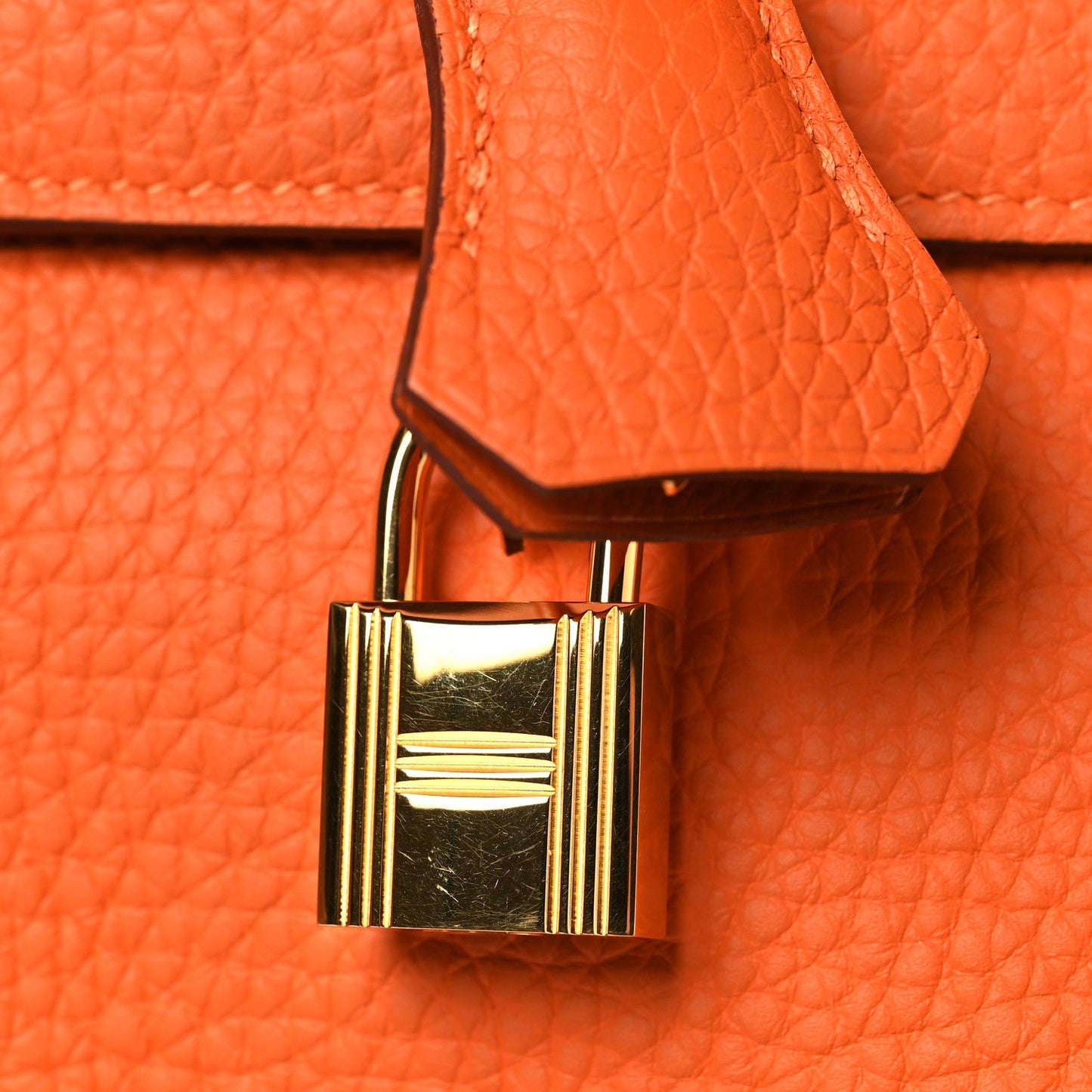 Taurillon Clemence Kelly Retourne 35 Orange