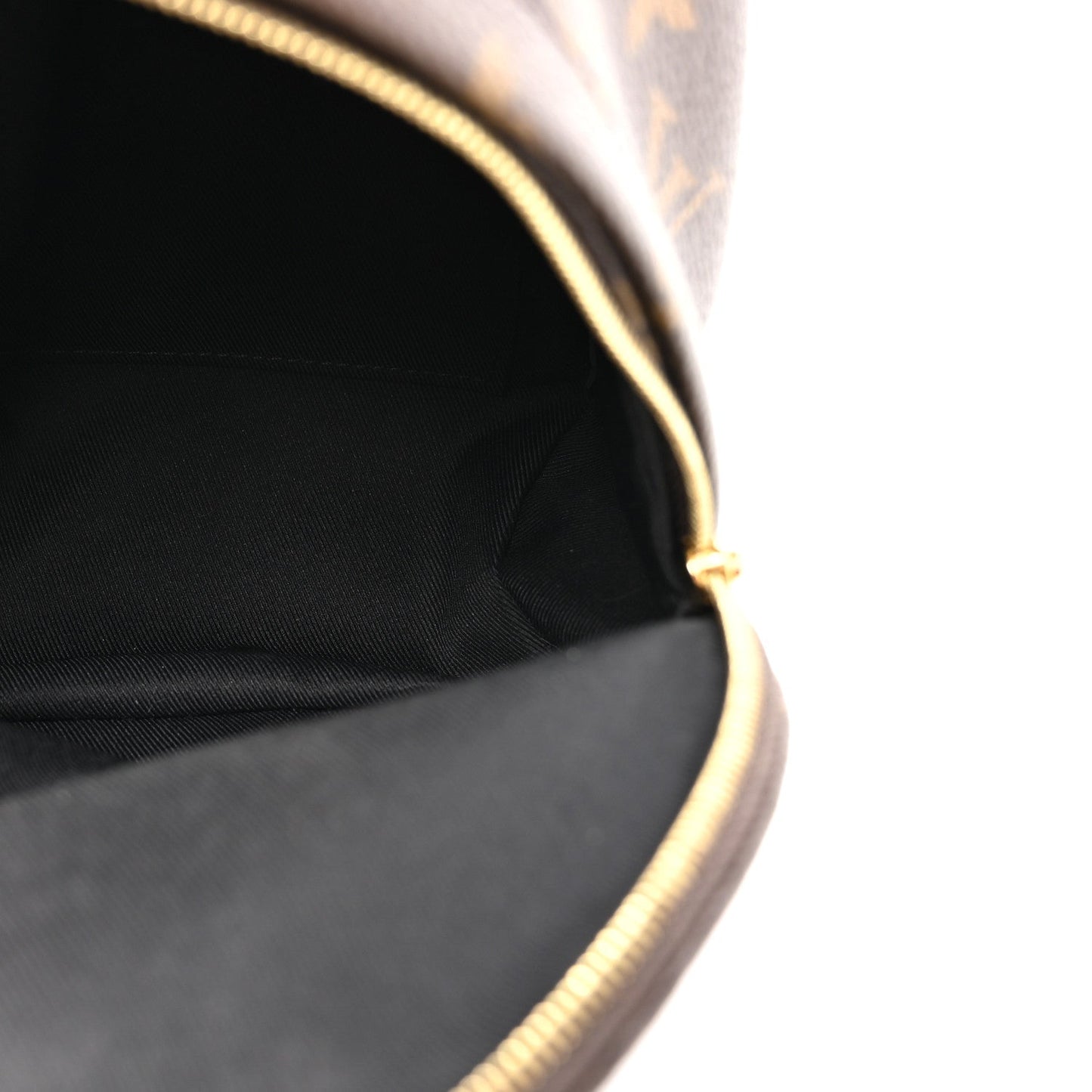 Monogram Palm Springs Backpack Mini