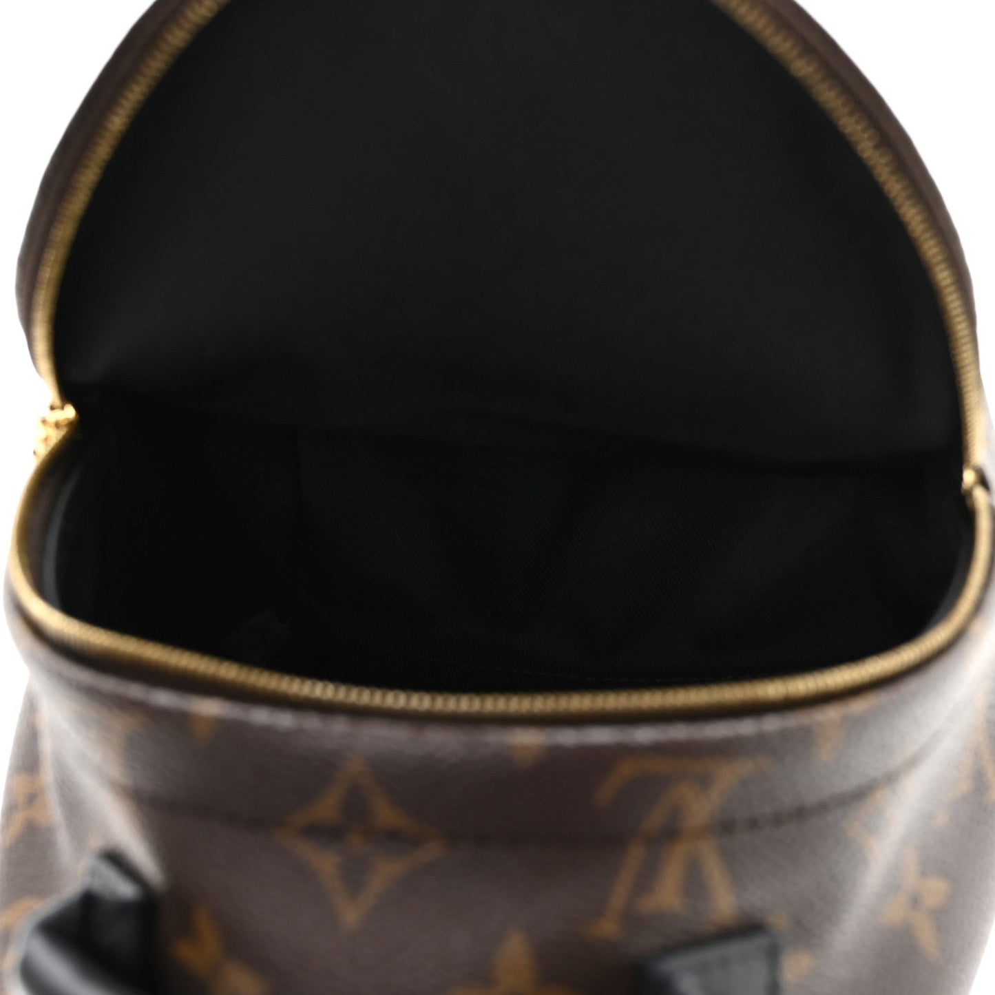 Monogram Palm Springs Backpack Mini