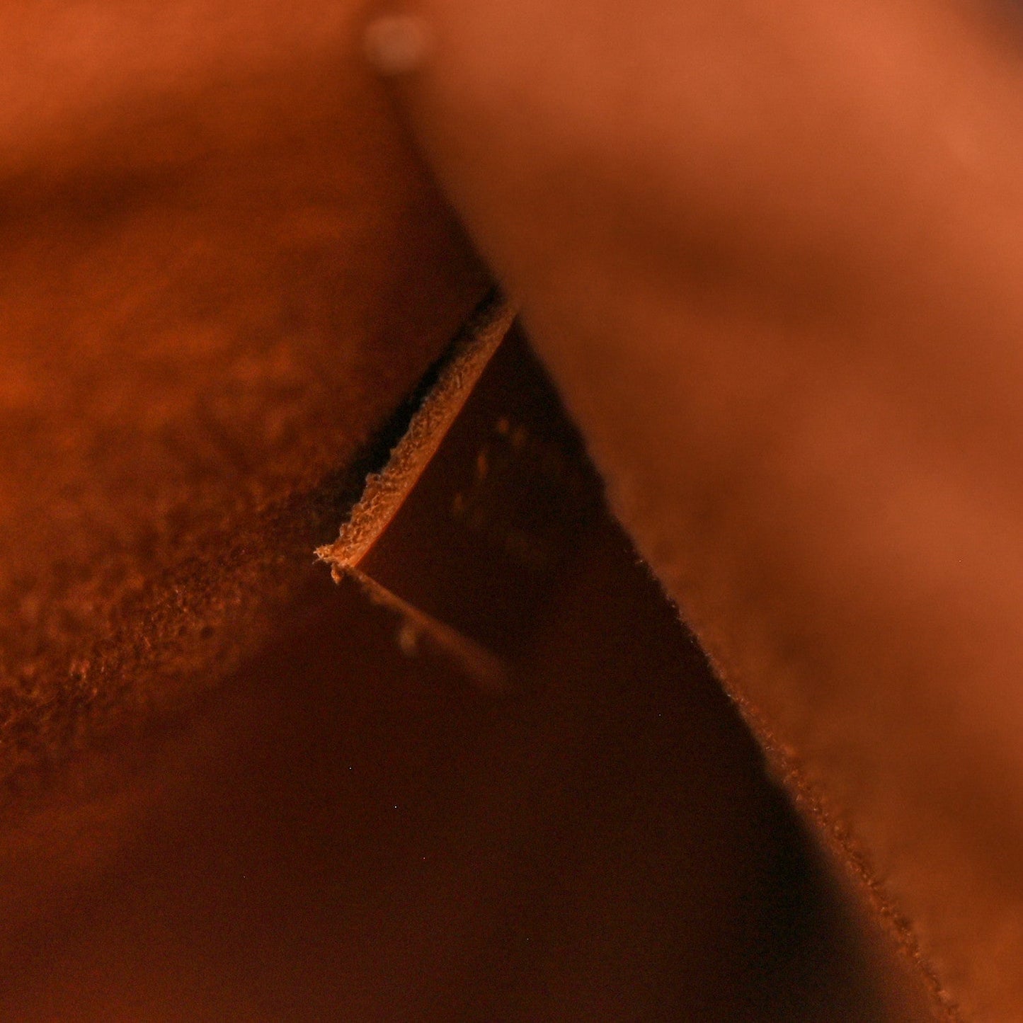 Monogram Neonoe MM Caramel