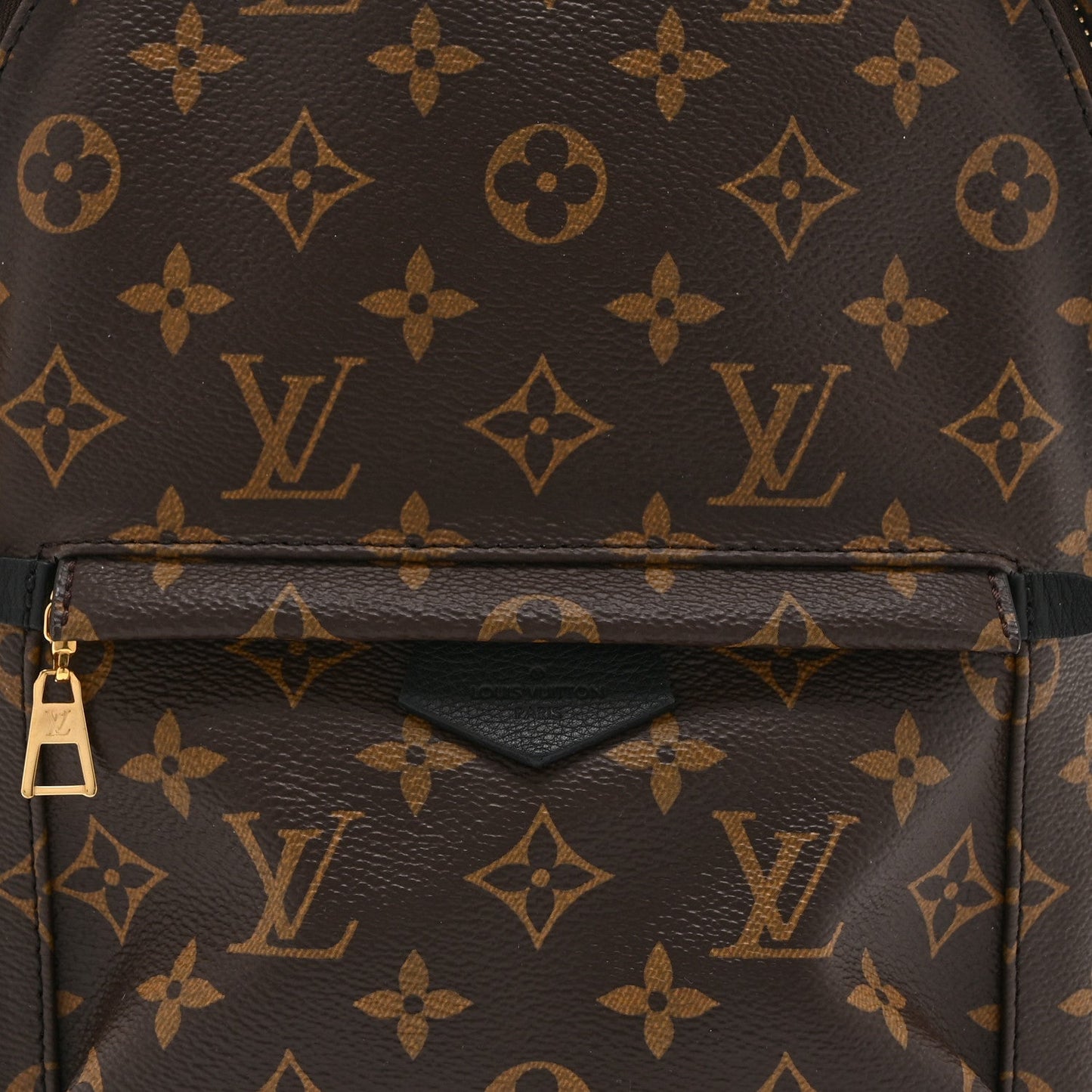 Monogram Palm Springs Backpack PM