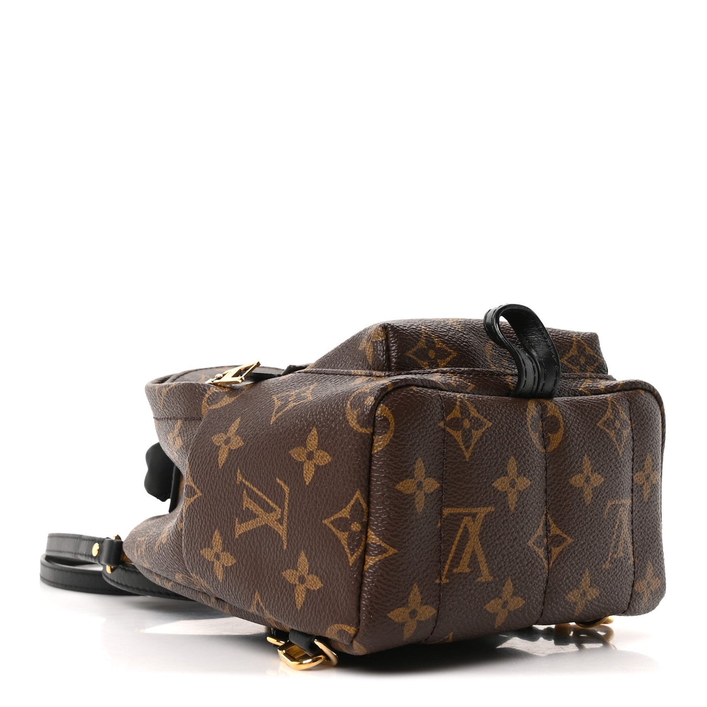 Monogram Palm Springs Backpack Mini
