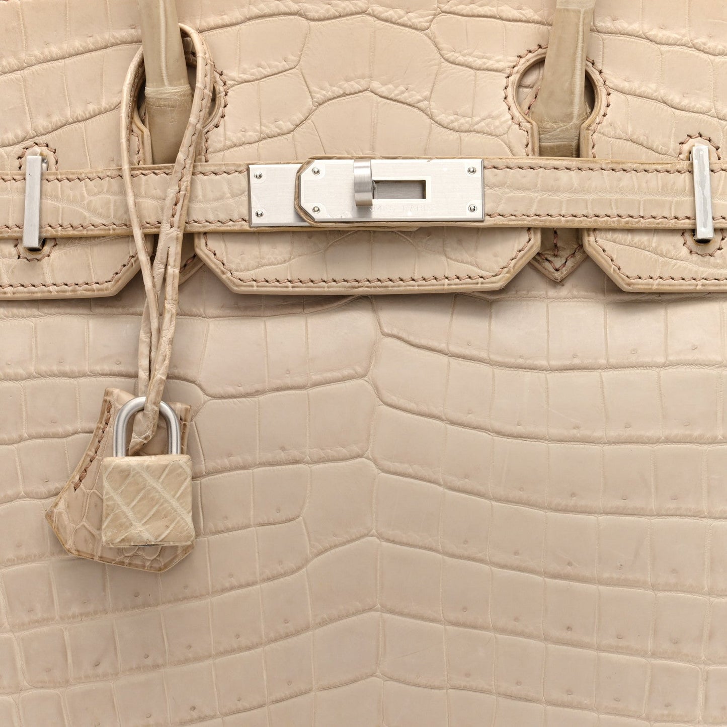 Matte Niloticus Crocodile Birkin 30 Parchemin