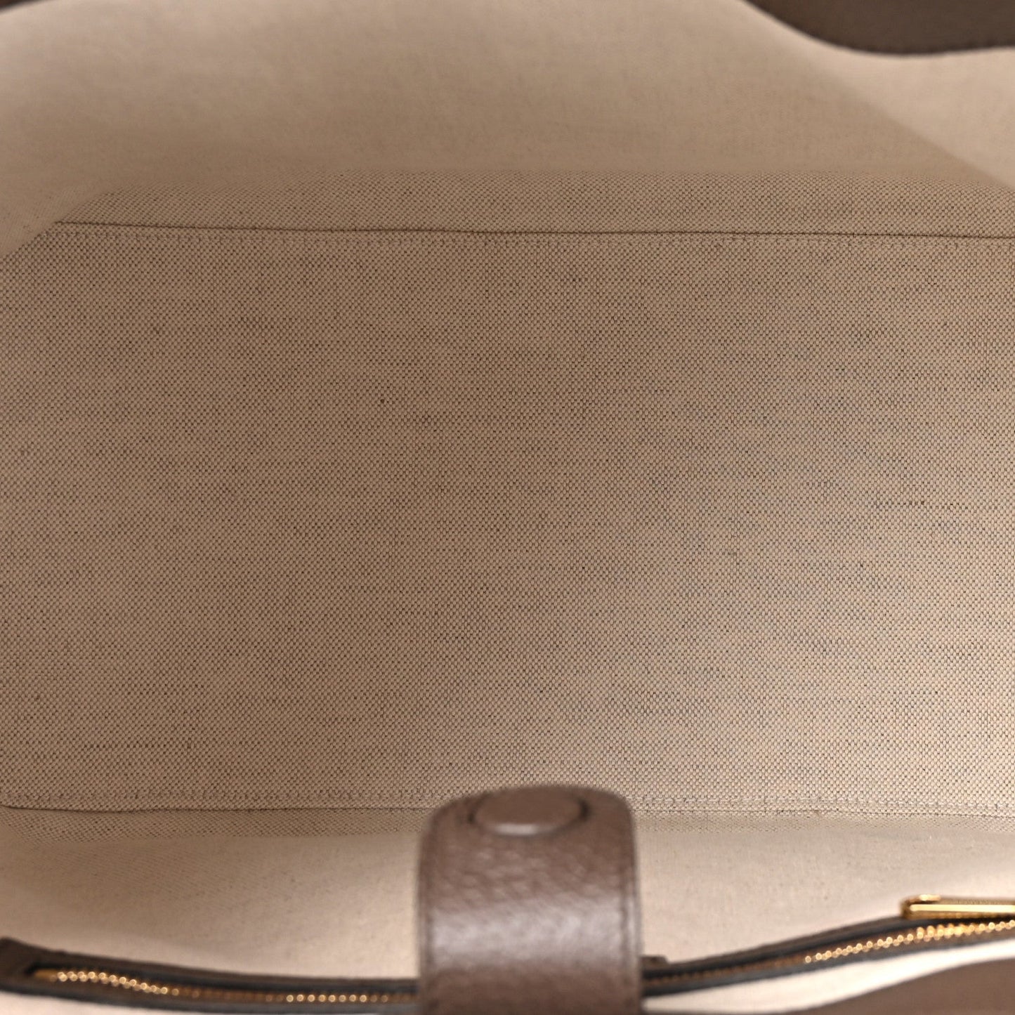 GG Supreme Monogram Textured Dollar Calfskin Web Large Ophidia Bucket Shoulder Bag Beige Ebony New Acero