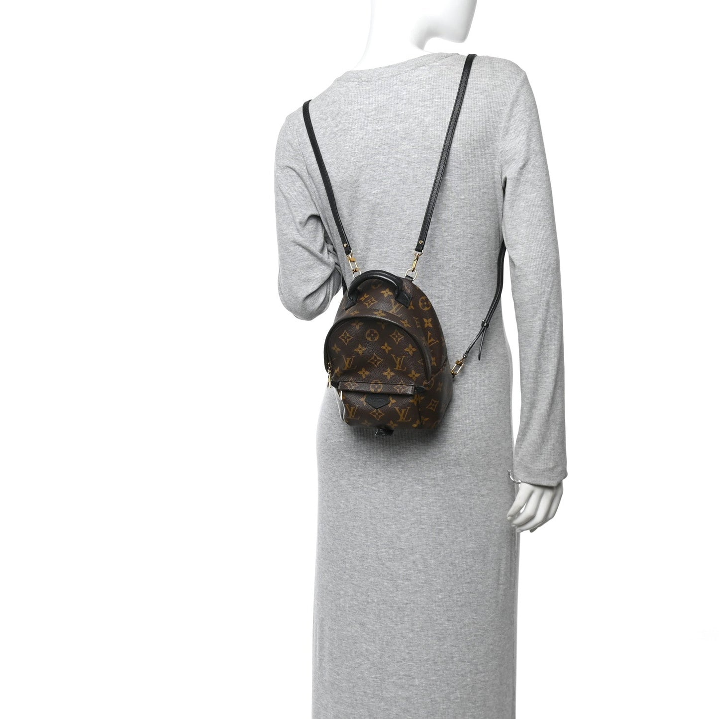 Monogram Palm Springs Backpack Mini