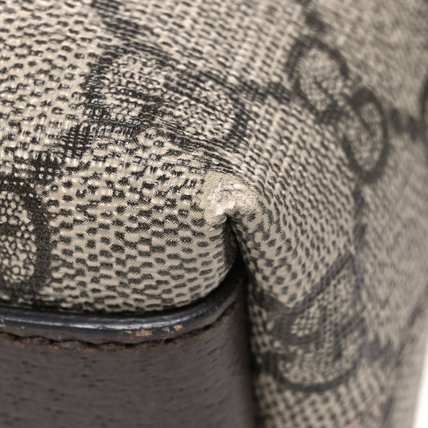 GG Supreme Monogram Textured Dollar Calfskin Web Small Ophidia Dome Shoulder Bag Beige Ebony New Acero