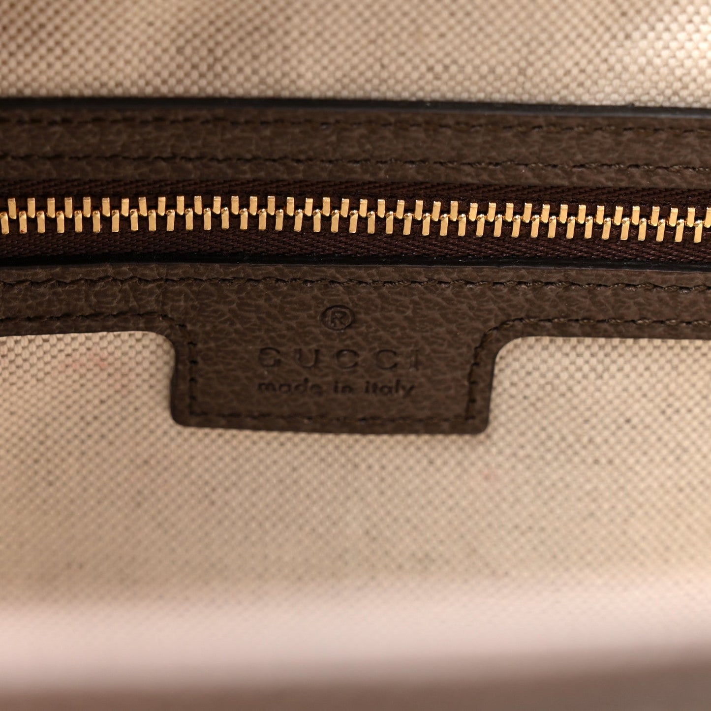 GG Supreme Monogram Textured Dollar Calfskin Web Large Ophidia Bucket Shoulder Bag Beige Ebony New Acero
