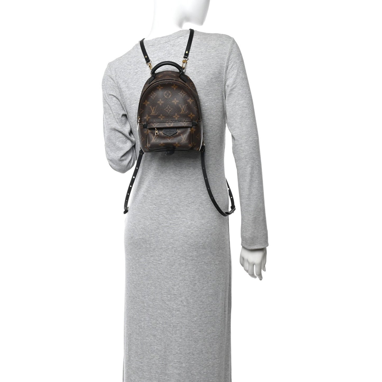 Monogram Palm Springs Backpack Mini