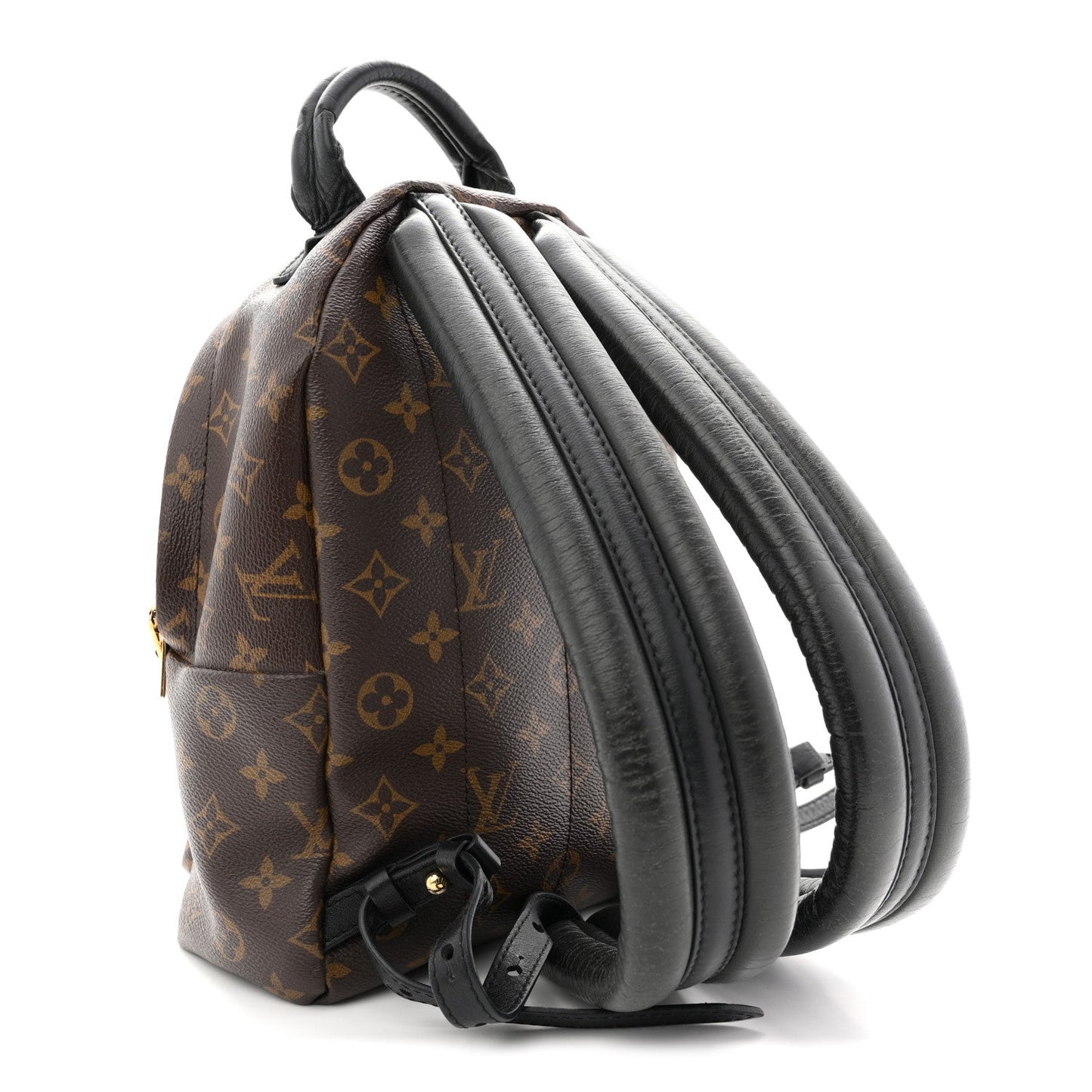 Monogram Palm Springs Backpack PM