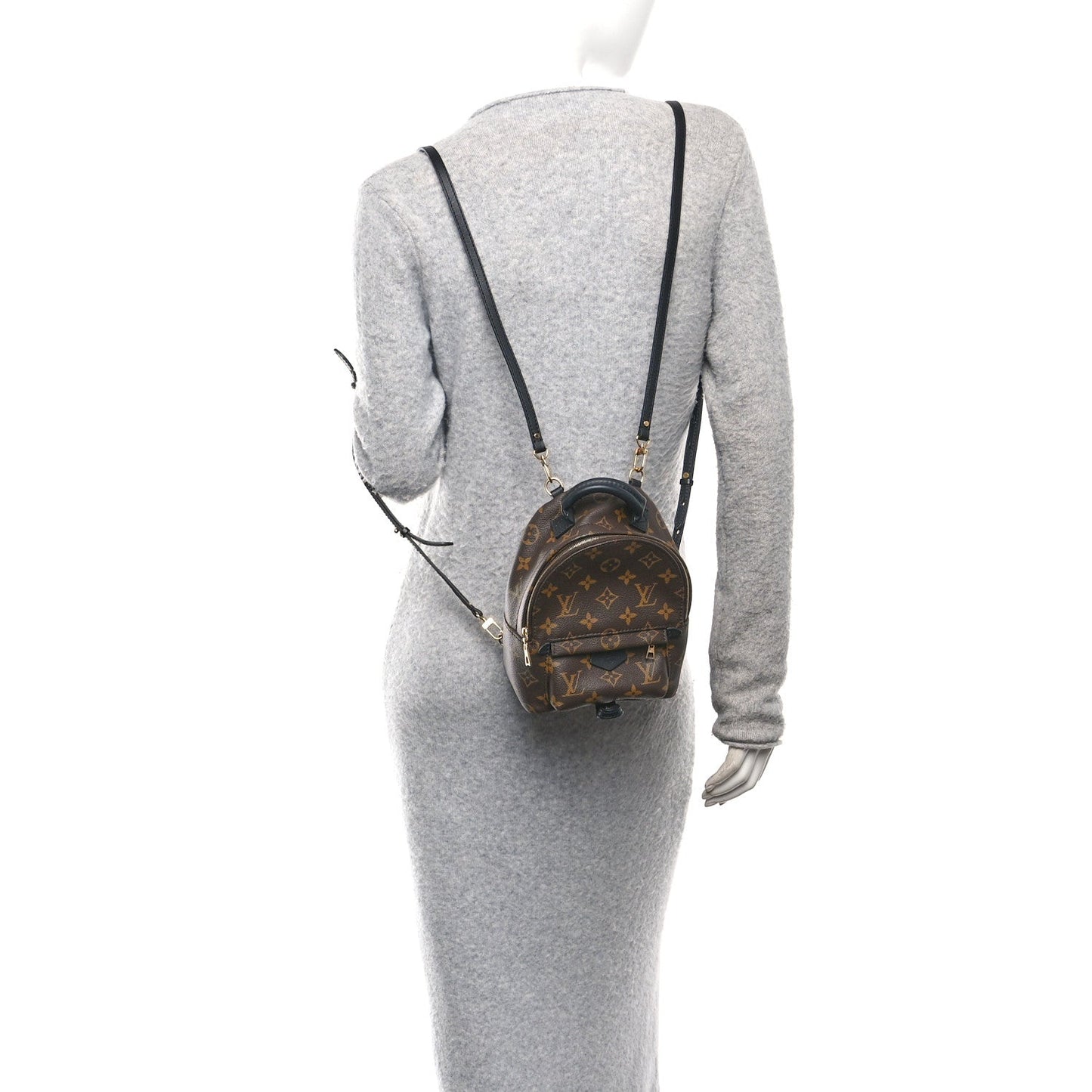 Monogram Palm Springs Backpack Mini