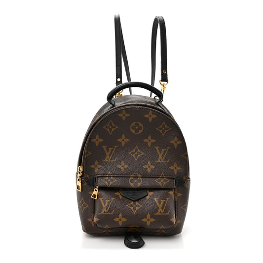 Monogram Palm Springs Backpack Mini