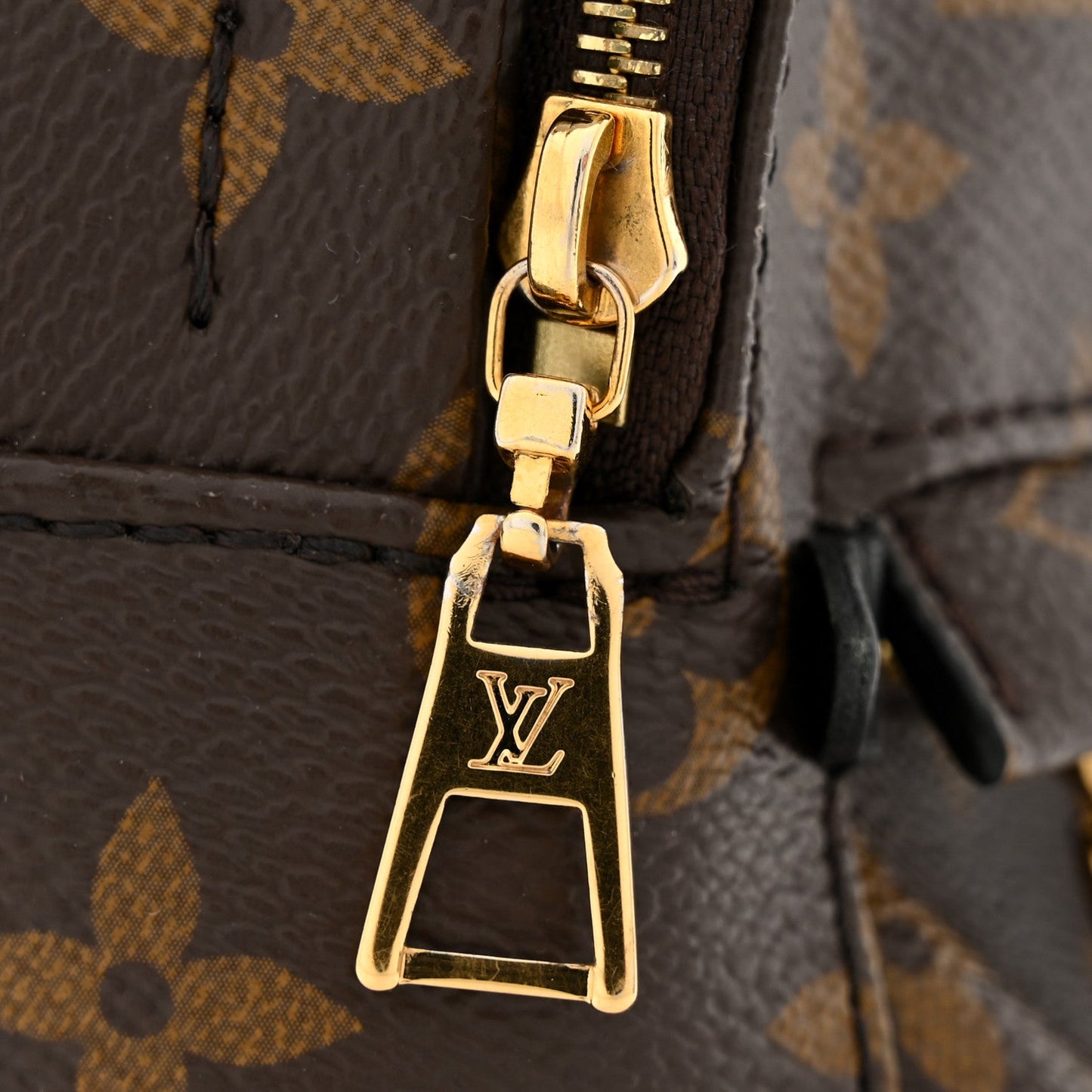 Monogram Palm Springs Backpack Mini