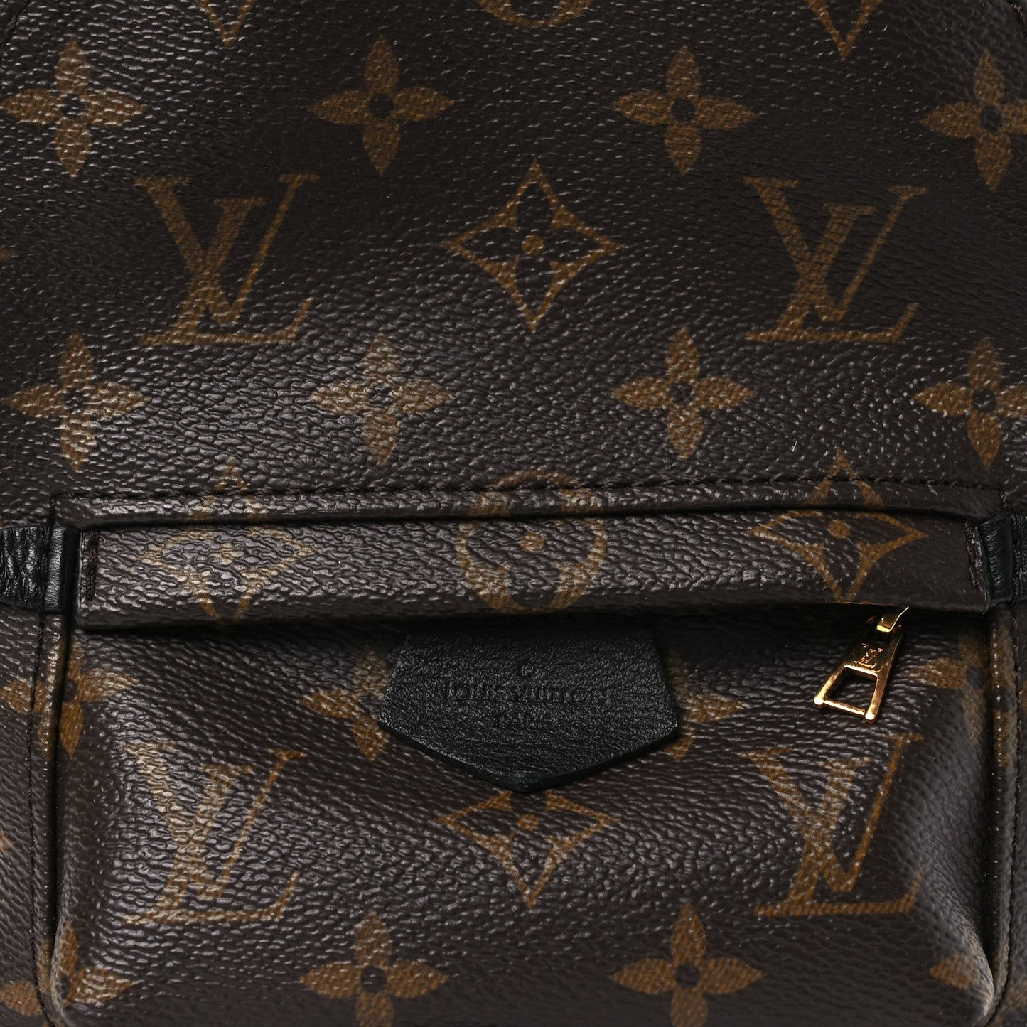 Monogram Palm Springs Backpack Mini