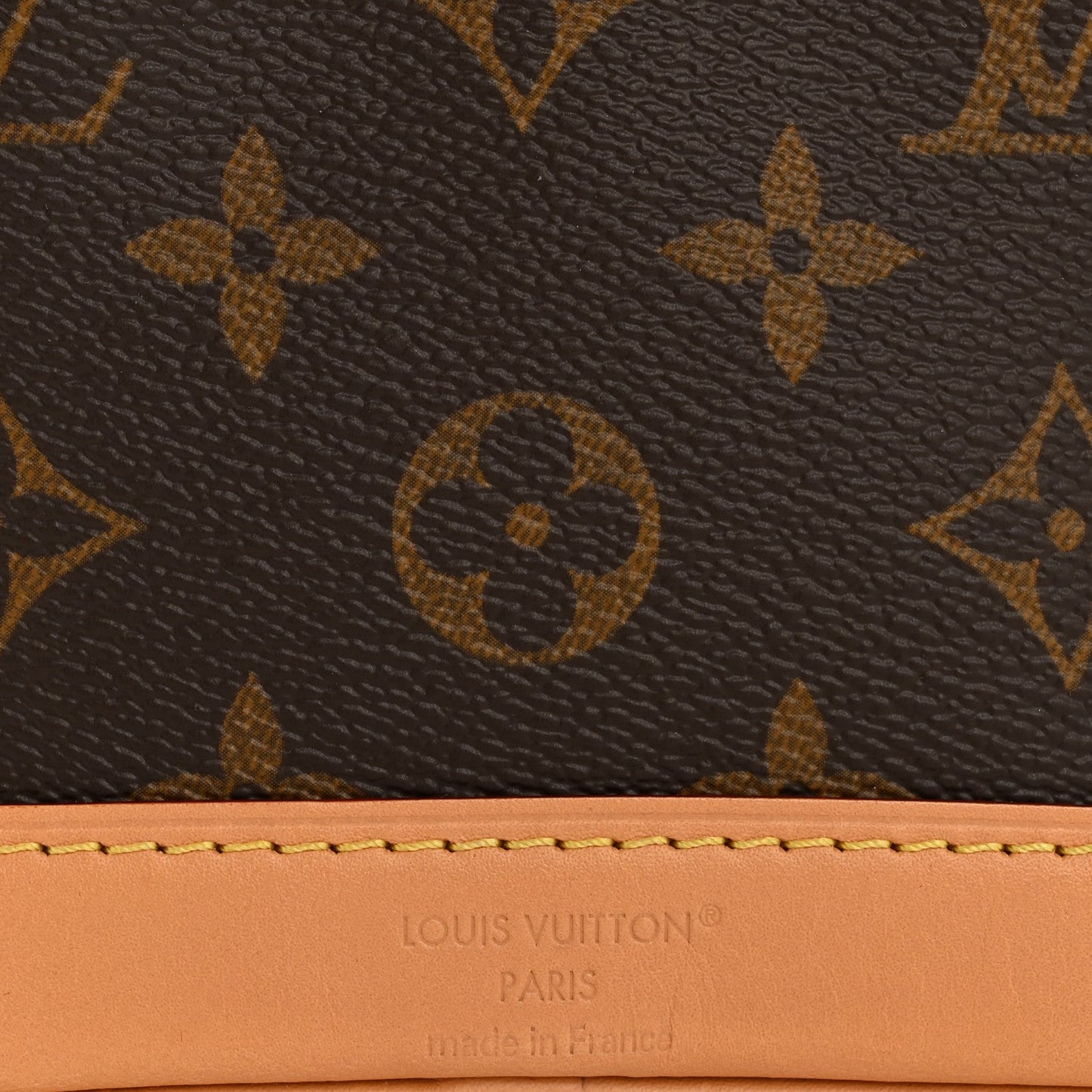 Monogram Nano Noe NV