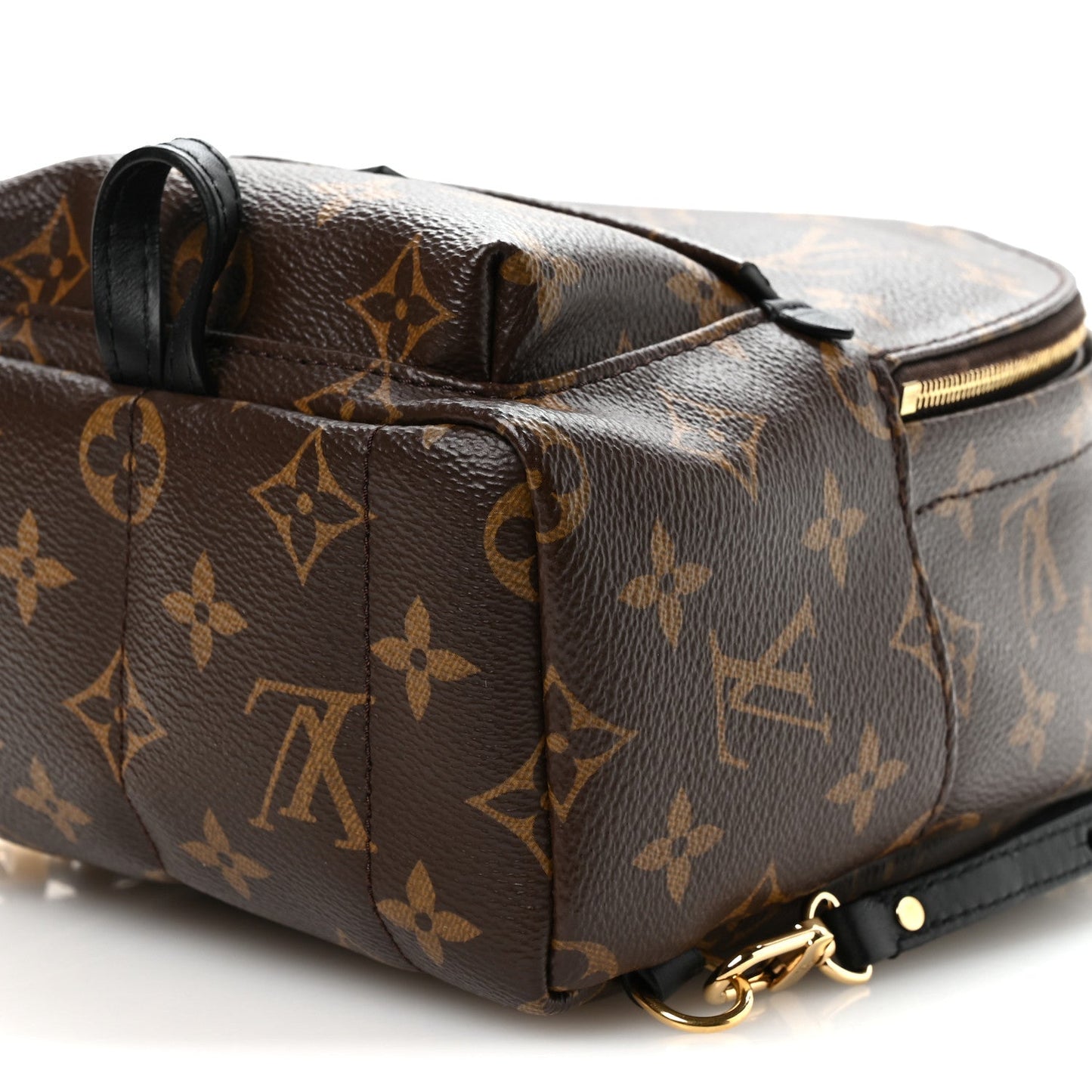 Monogram Palm Springs Backpack Mini
